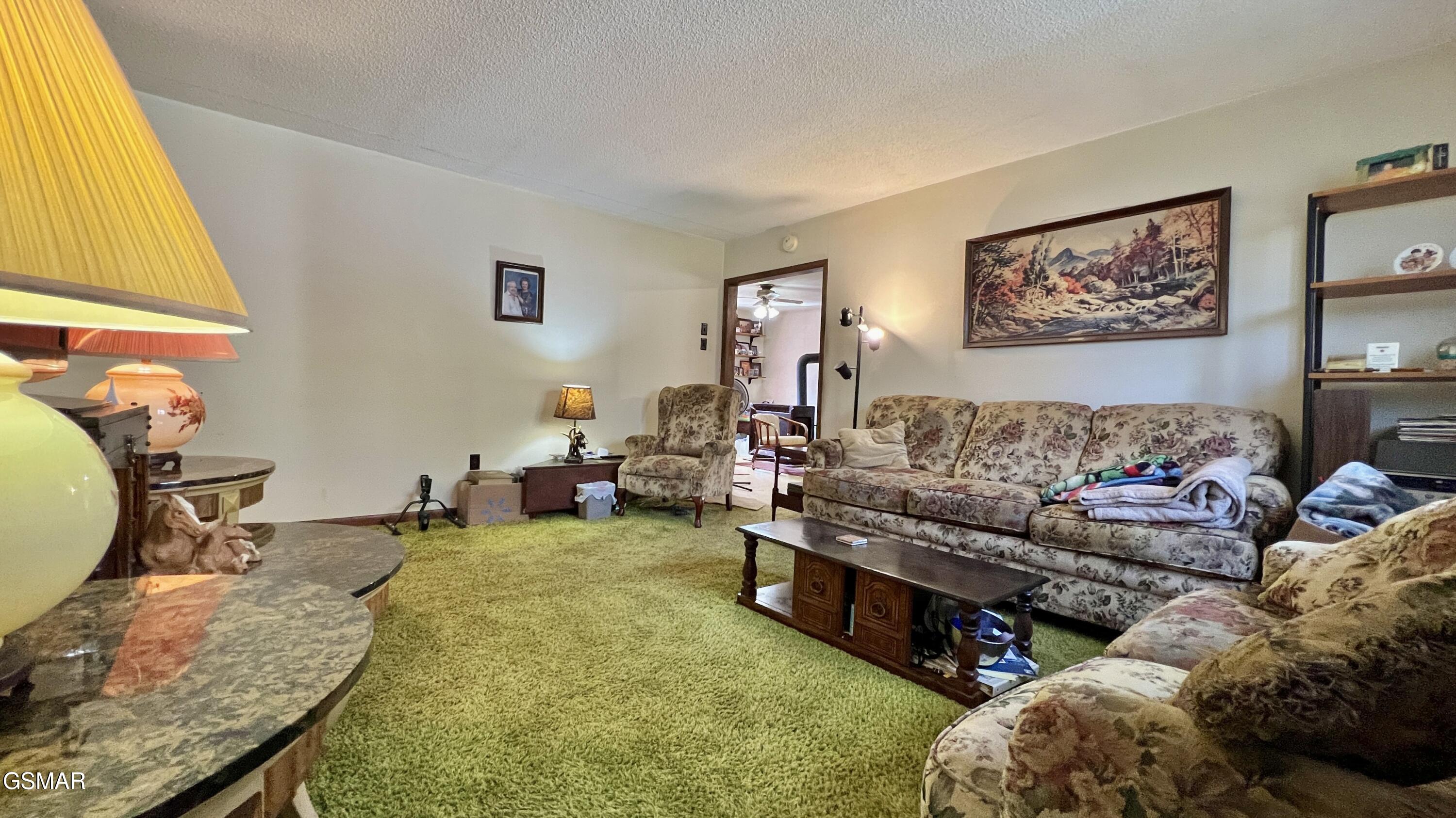 1803 Elkins Road Kodak TN 37764