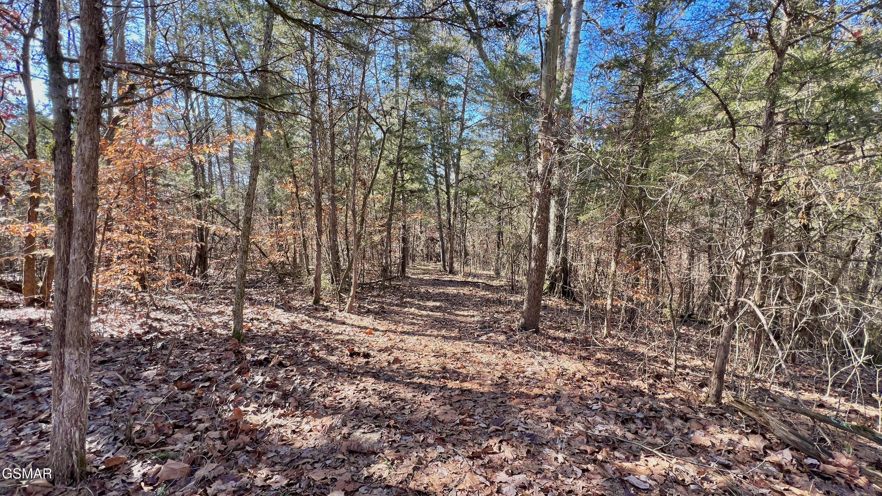 1803 Elkins Road Kodak TN 37764