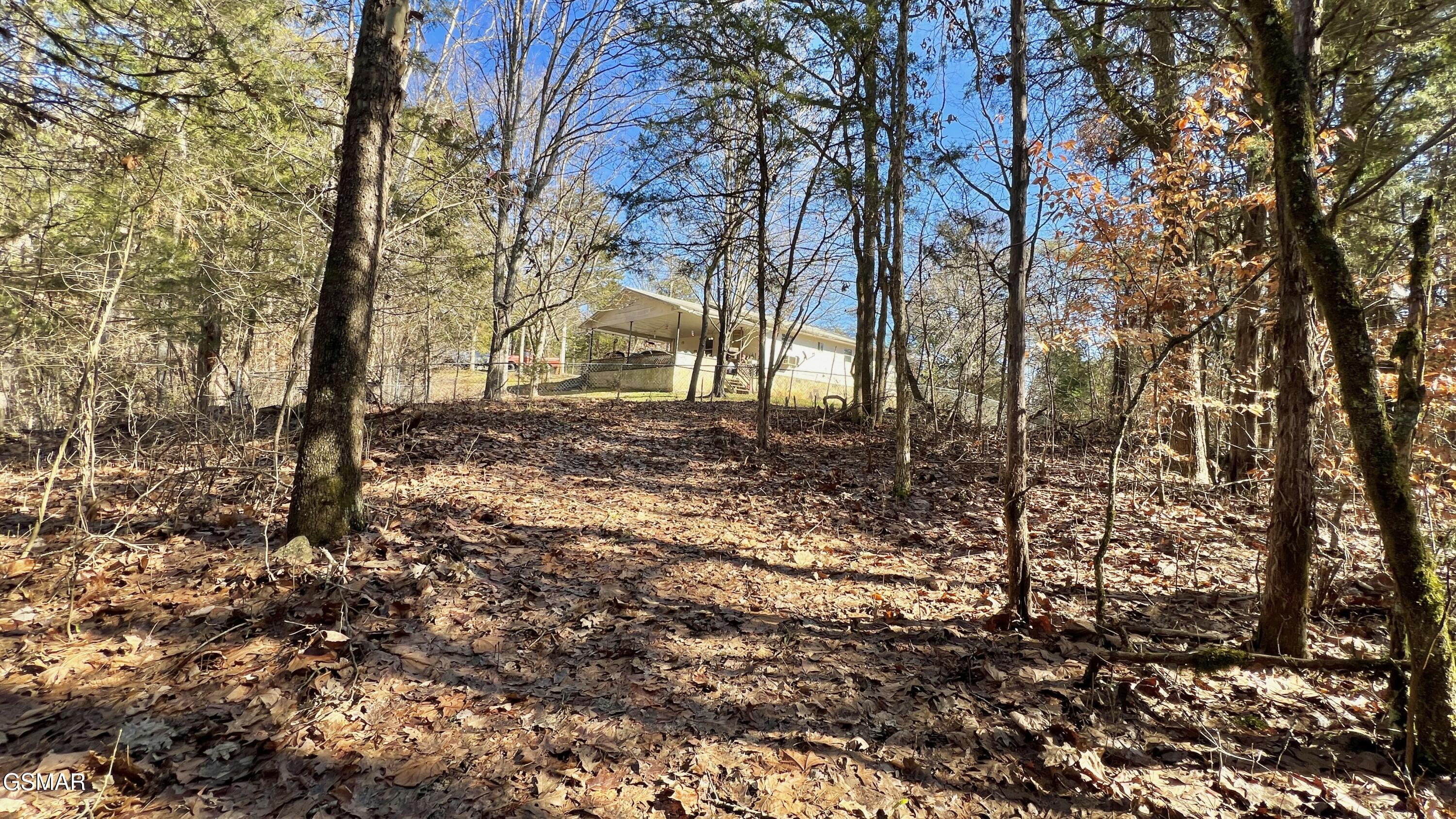 1803 Elkins Road Kodak TN 37764