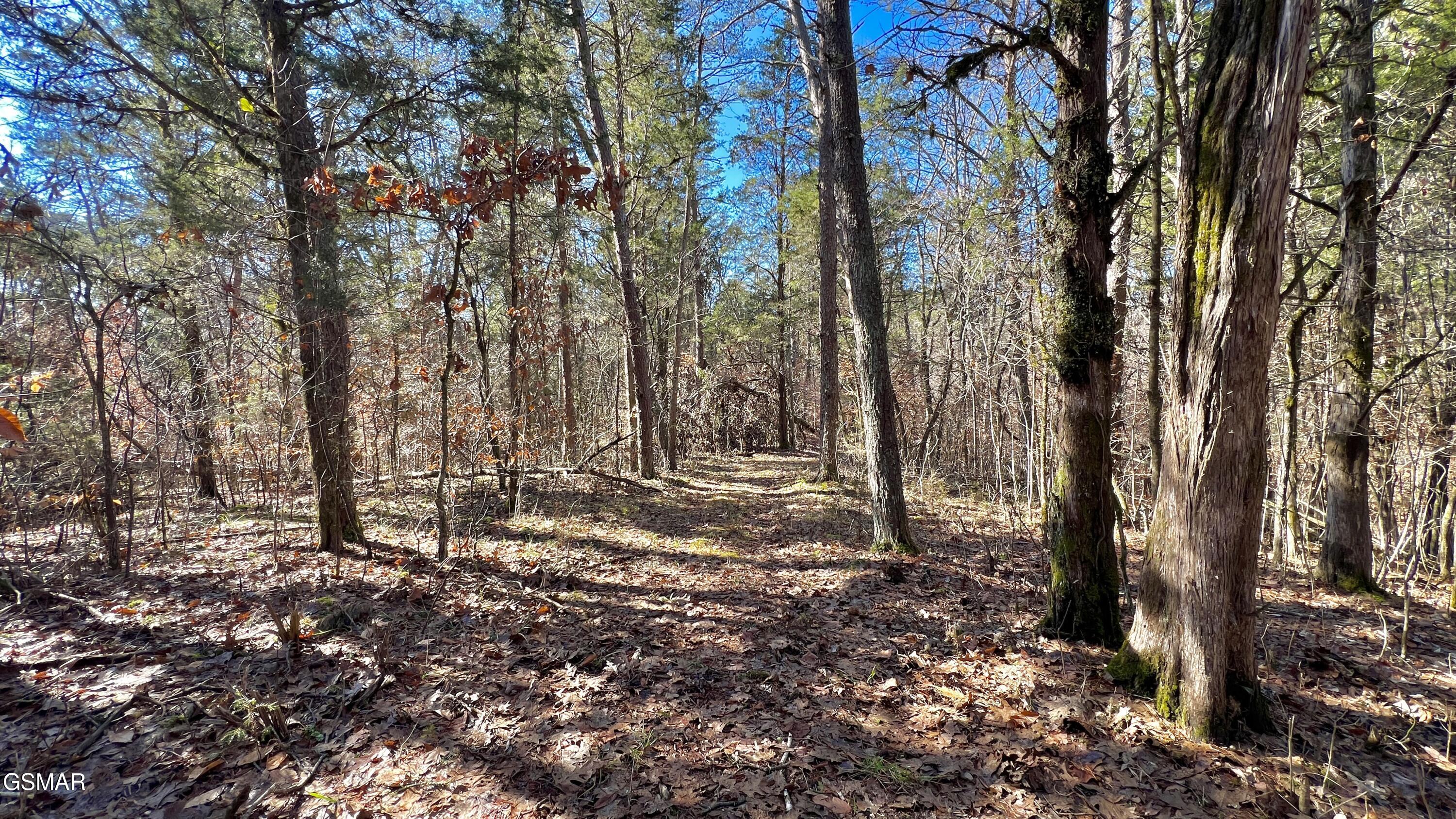 1803 Elkins Road Kodak TN 37764