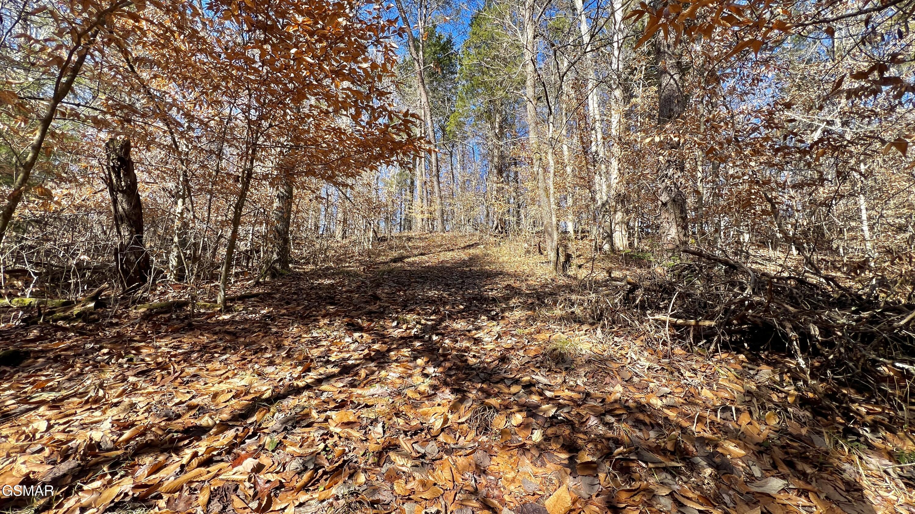 1803 Elkins Road Kodak TN 37764