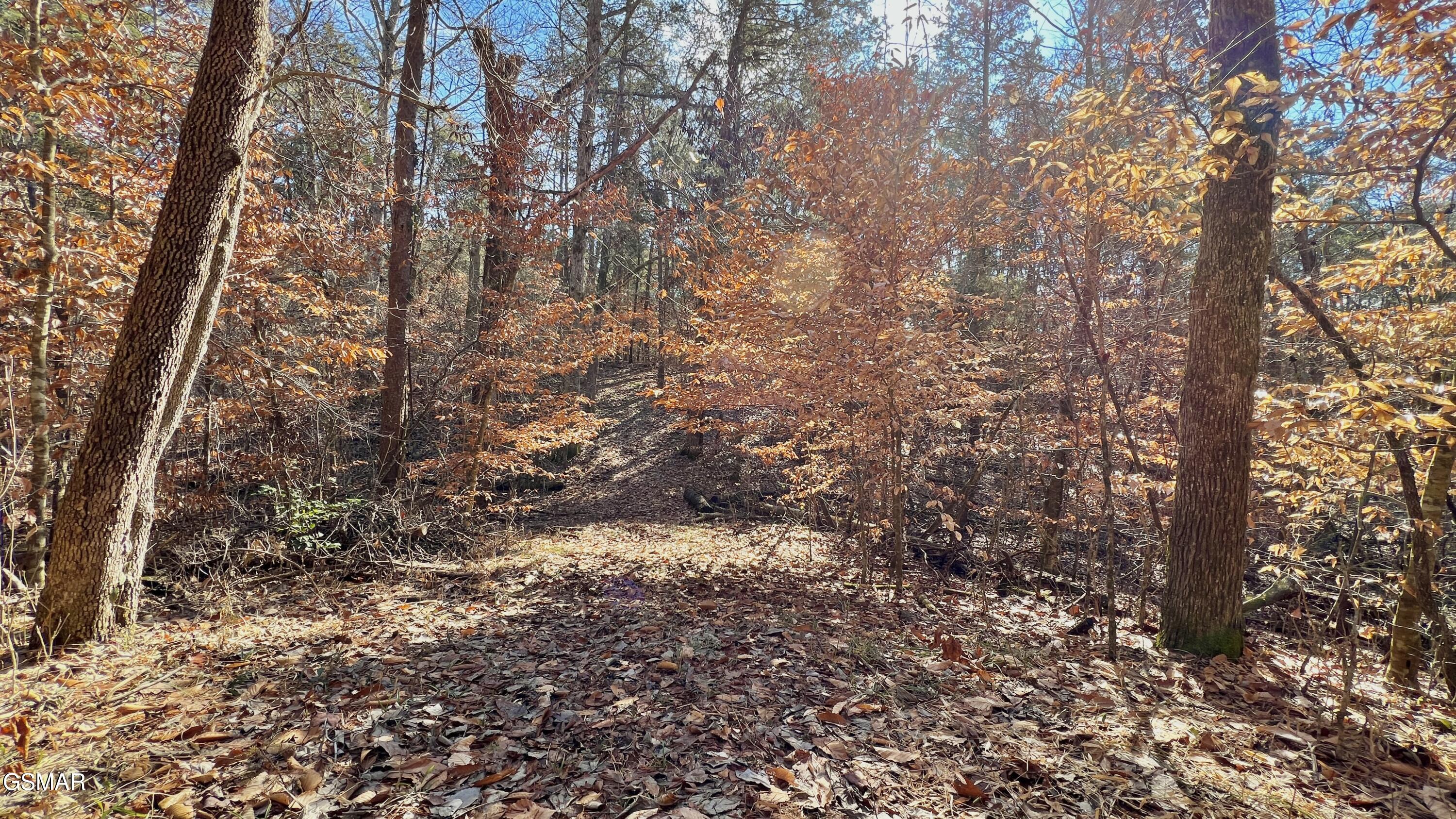 1803 Elkins Road Kodak TN 37764