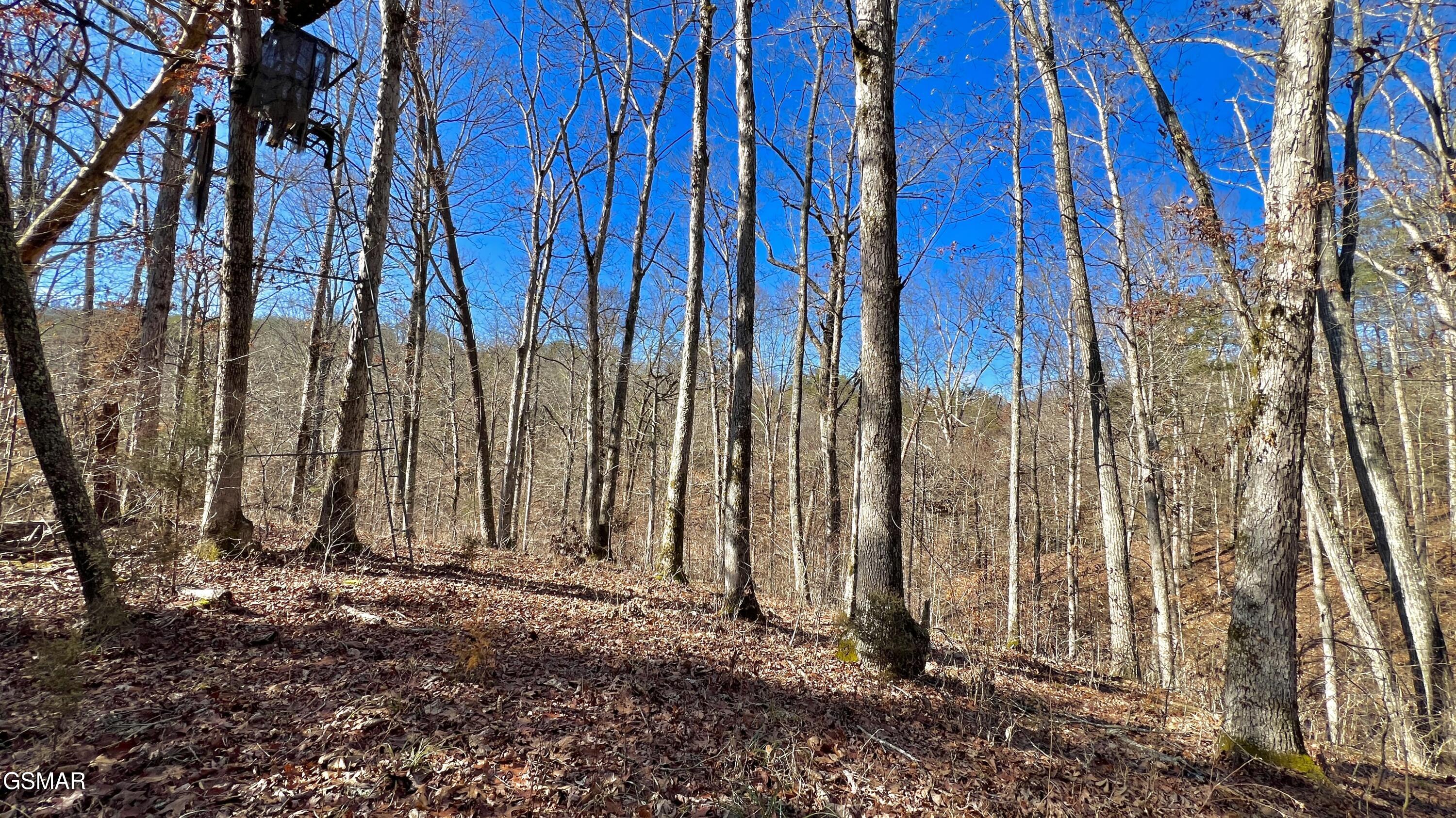 1803 Elkins Road Kodak TN 37764