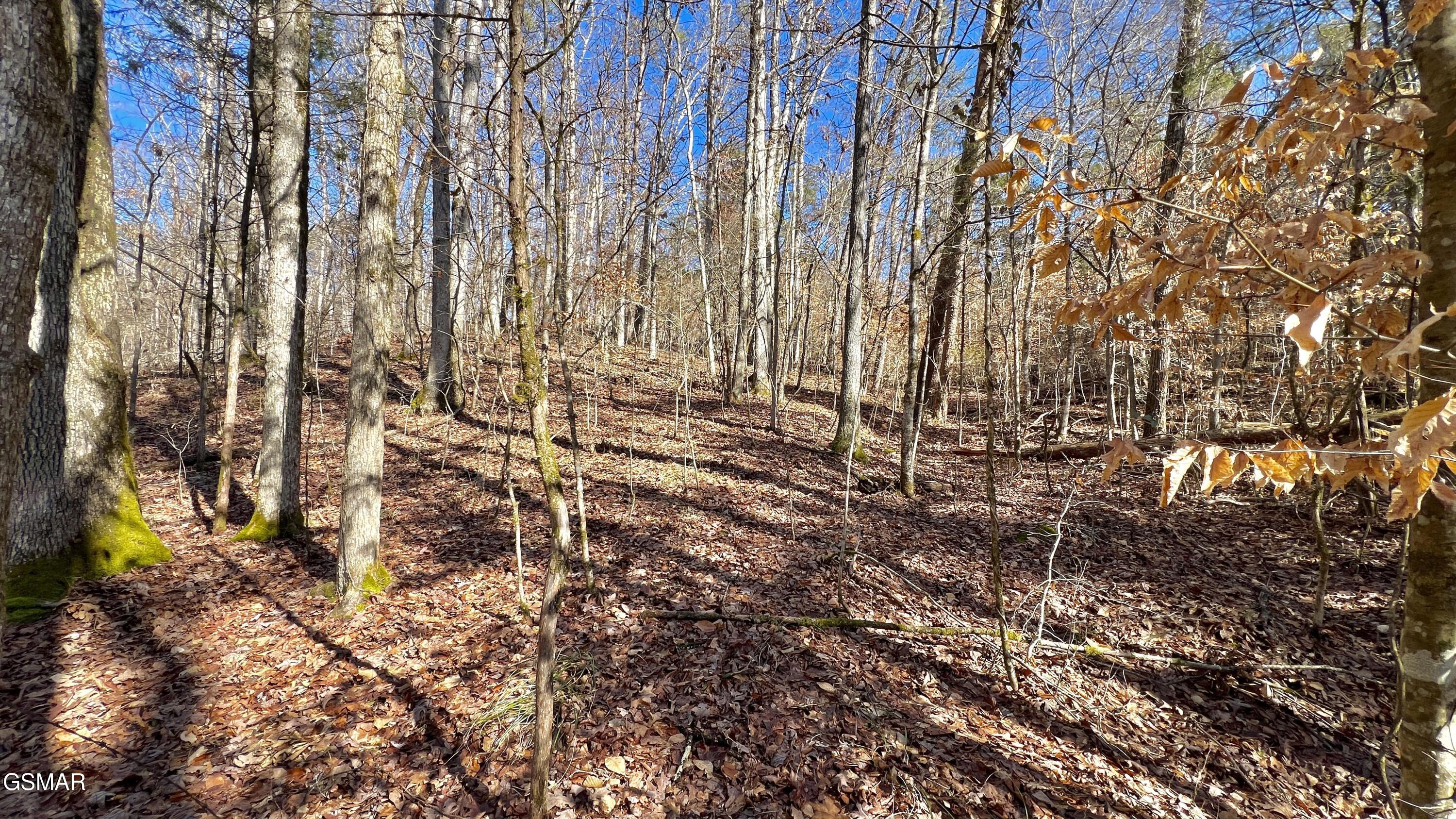 1803 Elkins Road Kodak TN 37764