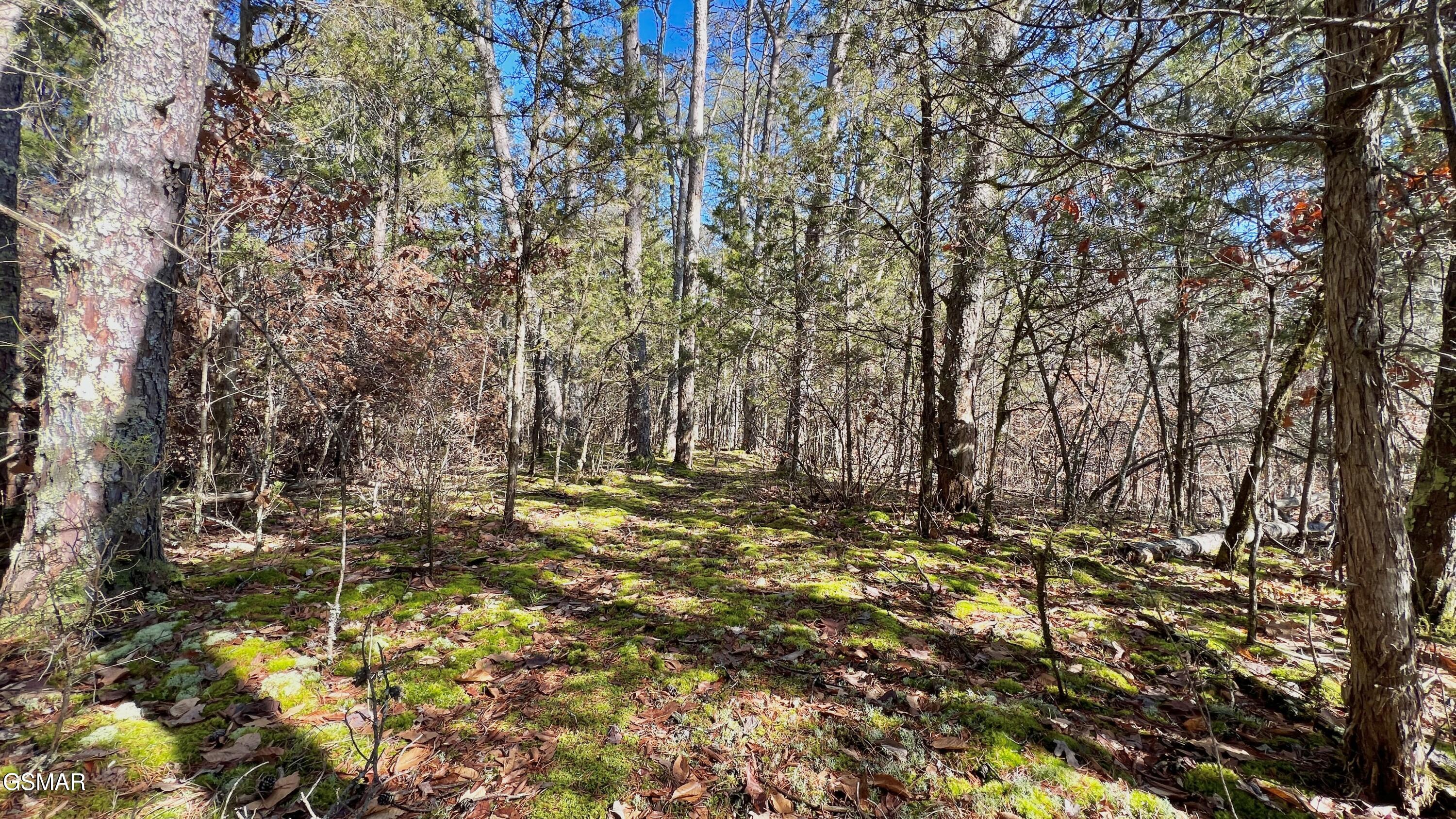 1803 Elkins Road Kodak TN 37764