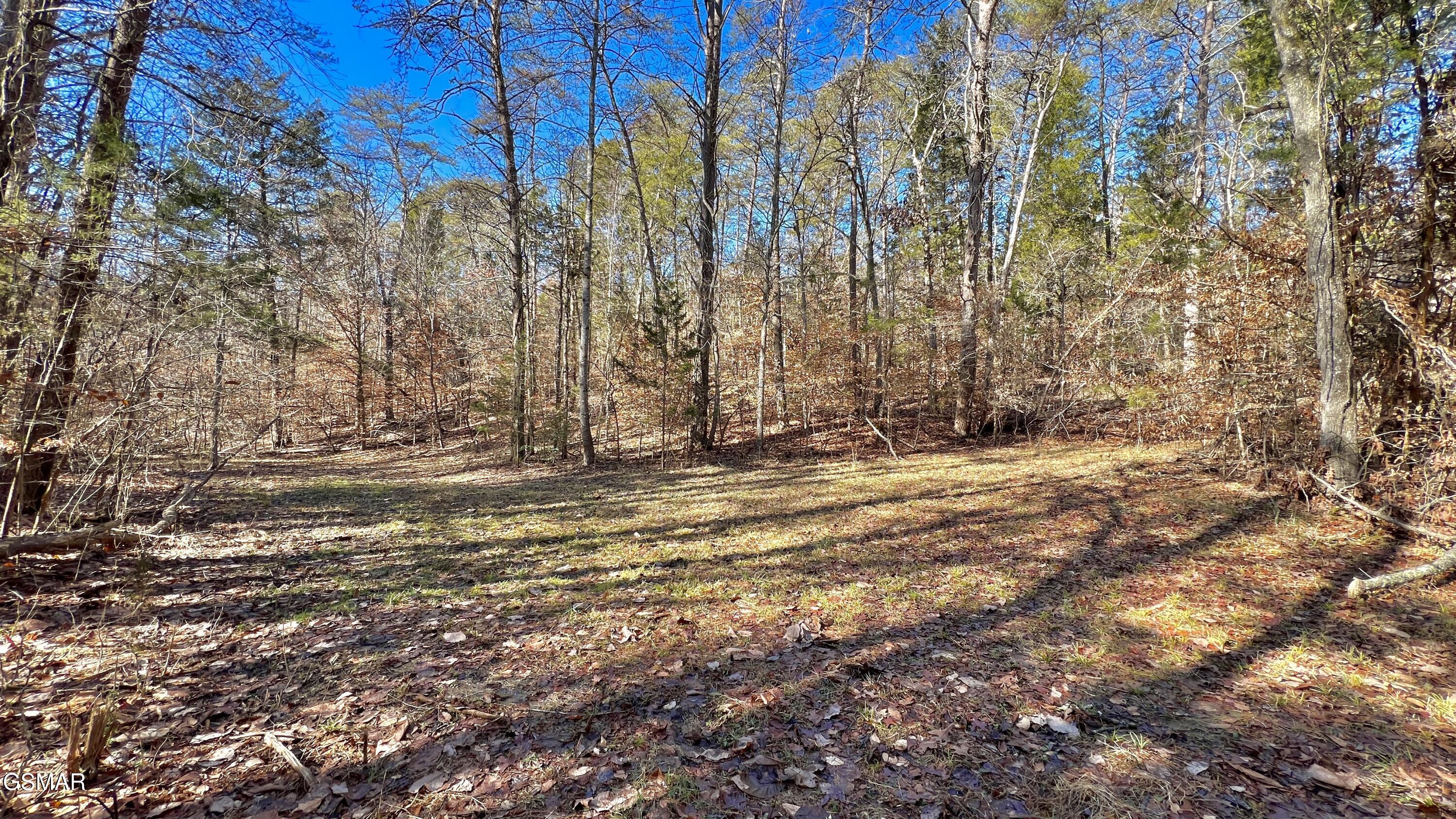 1803 Elkins Road Kodak TN 37764