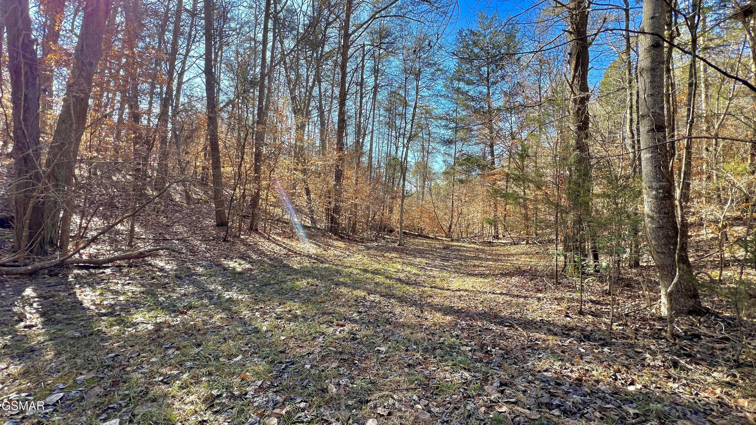 1803 Elkins Road Kodak TN 37764
