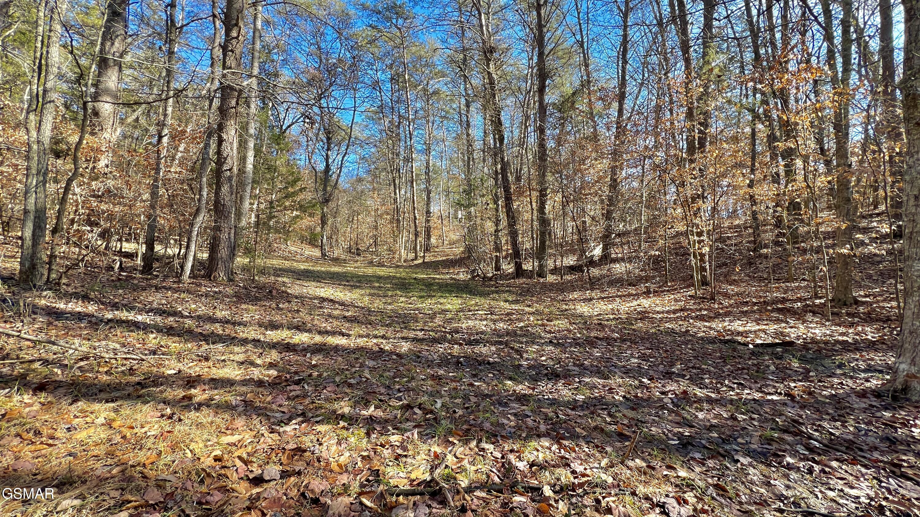 1803 Elkins Road Kodak TN 37764