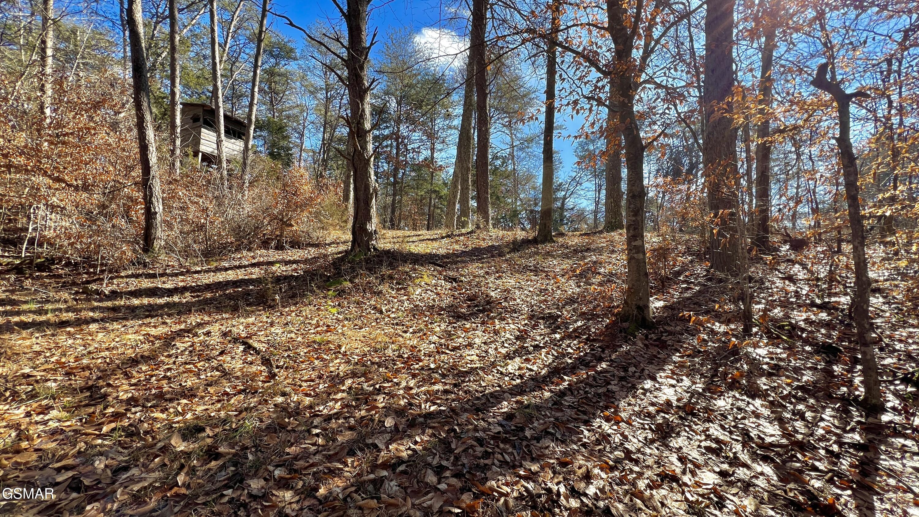 1803 Elkins Road Kodak TN 37764