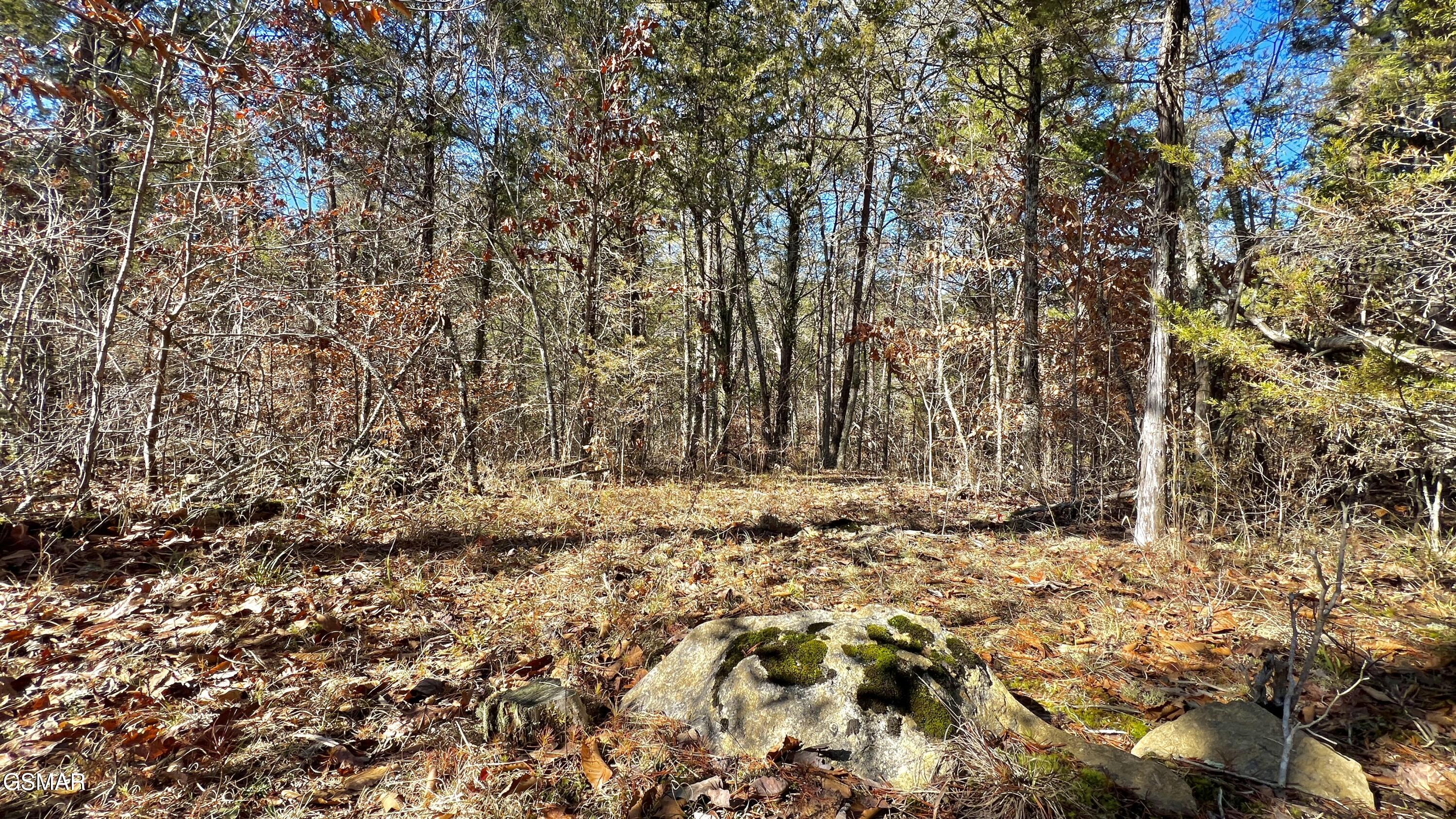 1803 Elkins Road Kodak TN 37764