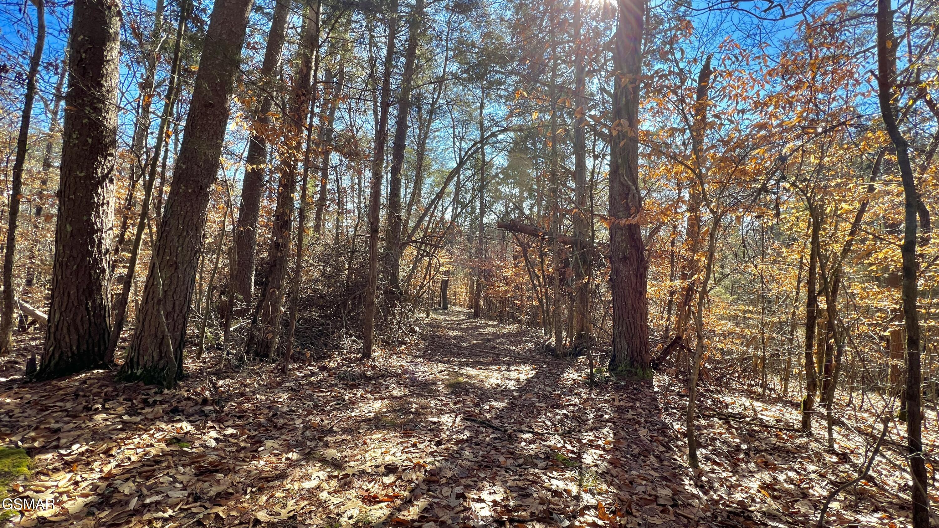 1803 Elkins Road Kodak TN 37764