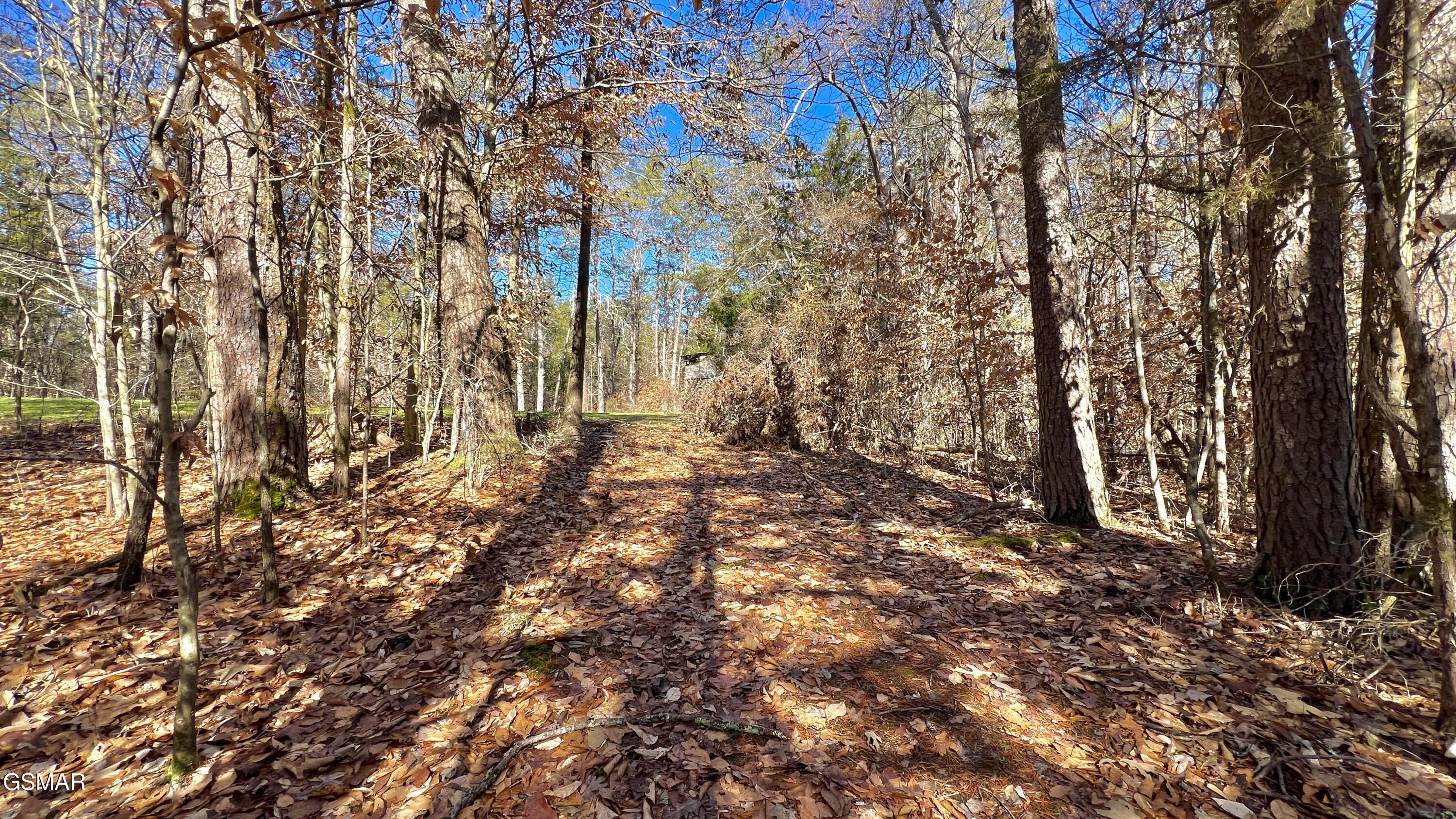 1803 Elkins Road Kodak TN 37764