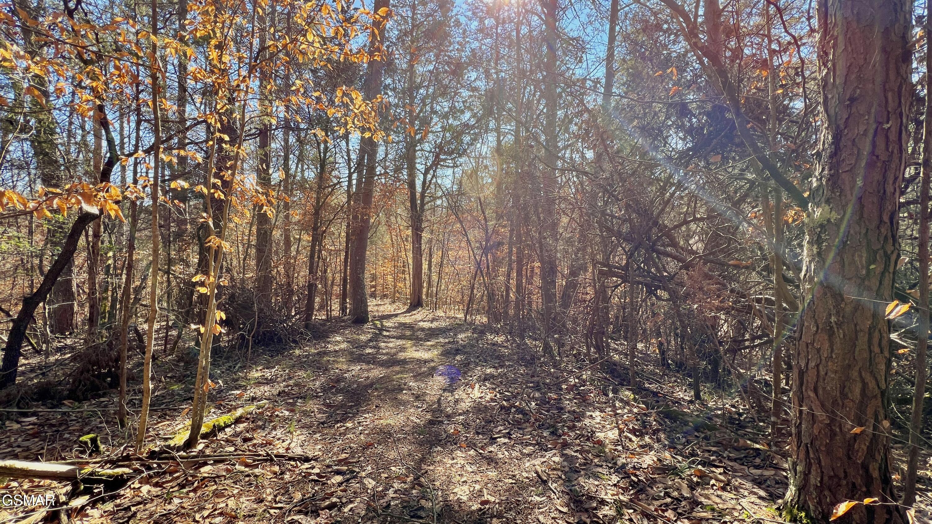 1803 Elkins Road Kodak TN 37764
