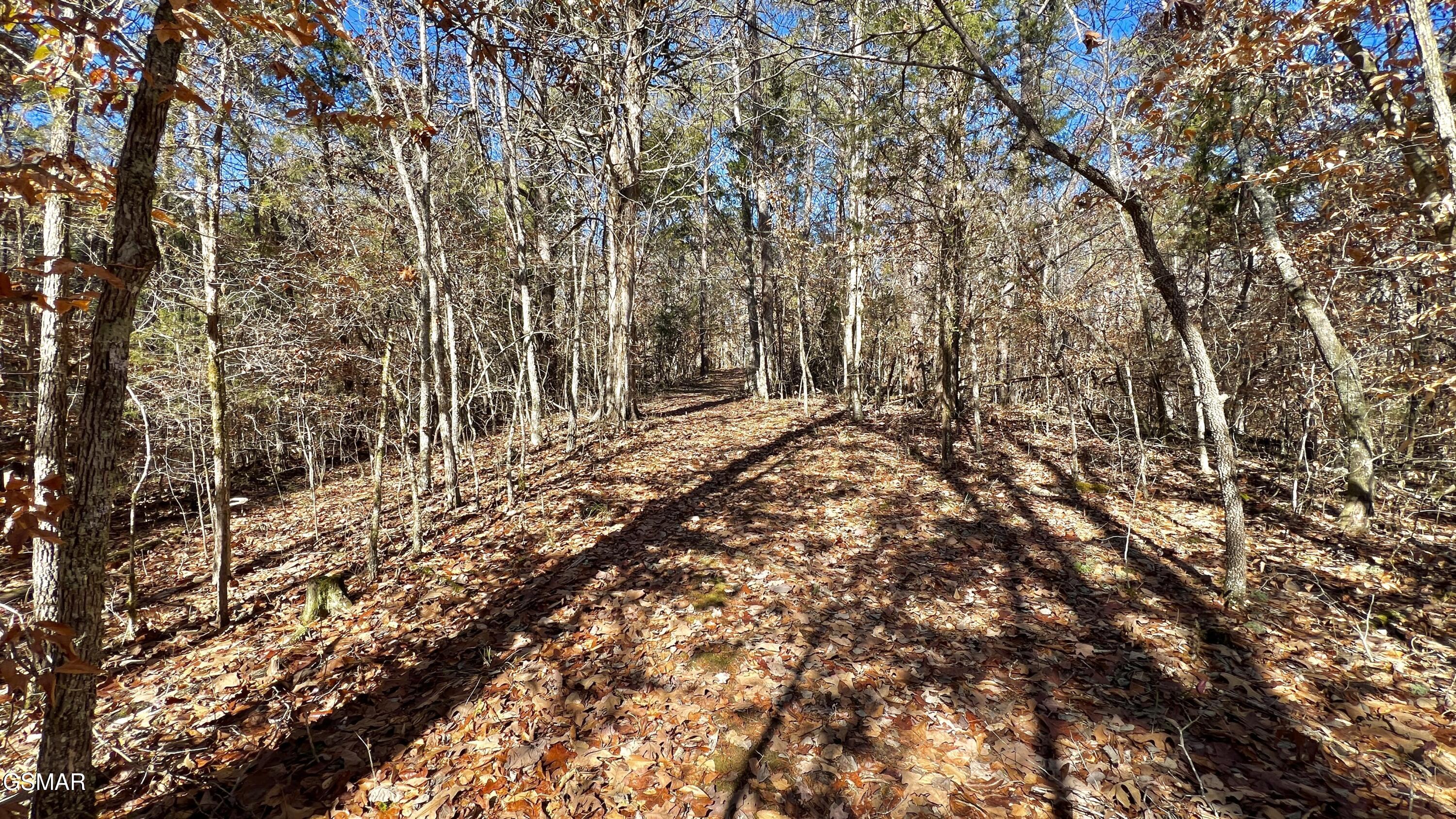 1803 Elkins Road Kodak TN 37764