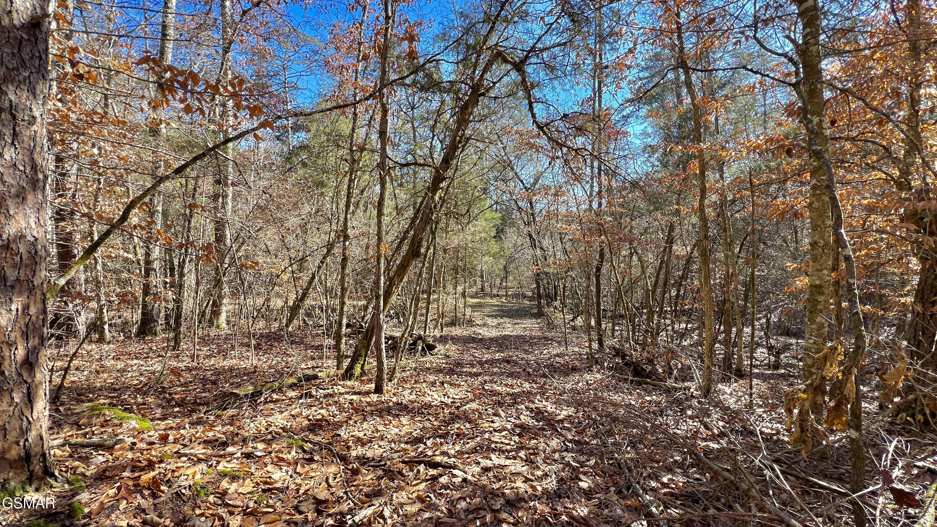1803 Elkins Road Kodak TN 37764