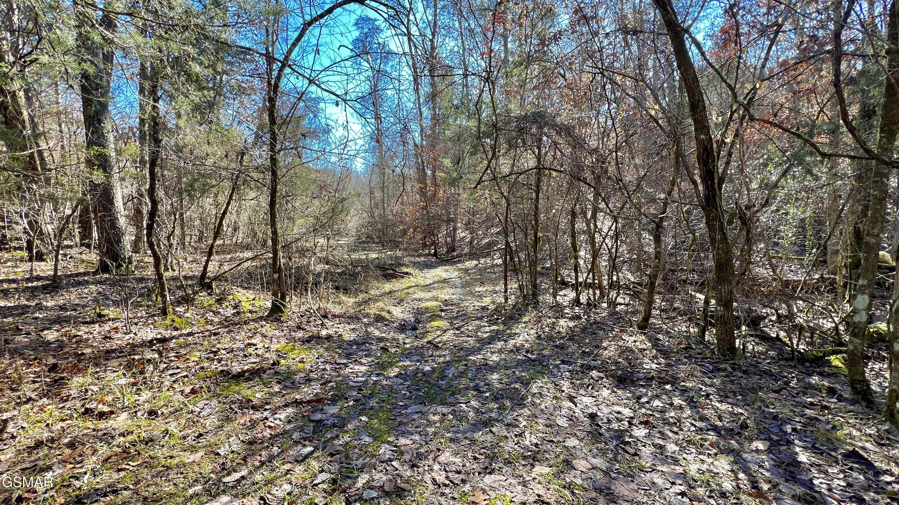 1803 Elkins Road Kodak TN 37764