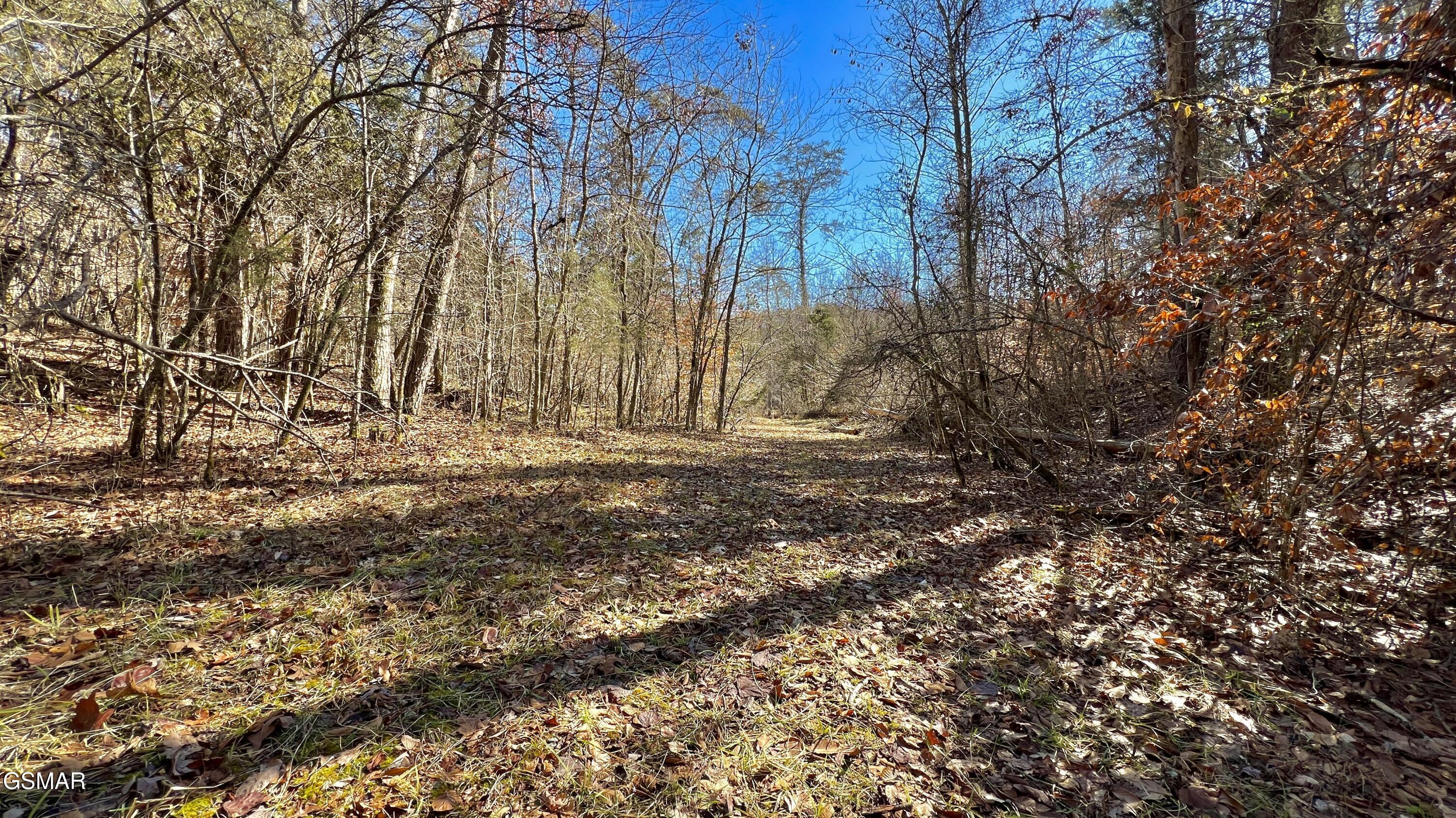 1803 Elkins Road Kodak TN 37764