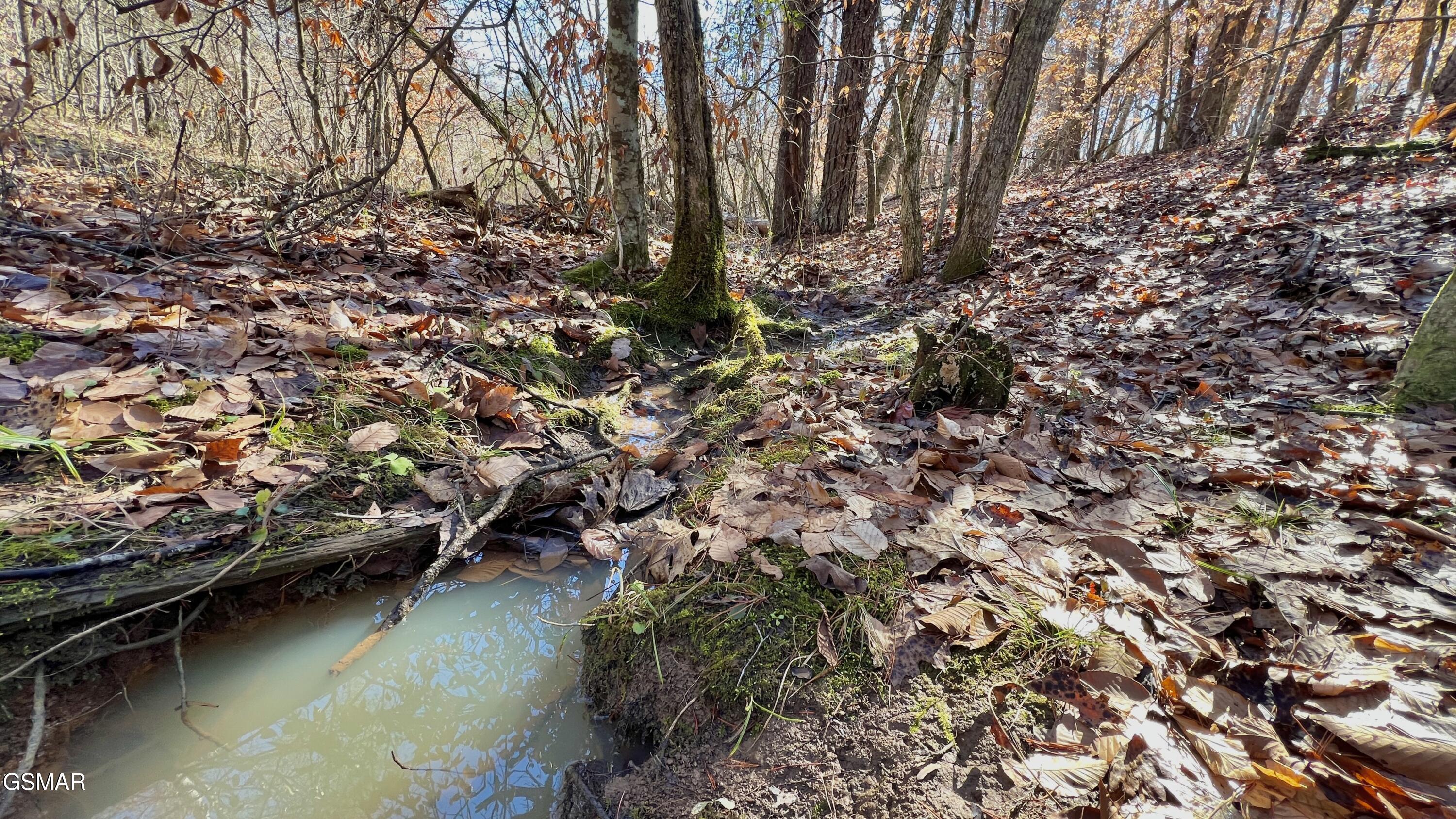 1803 Elkins Road Kodak TN 37764
