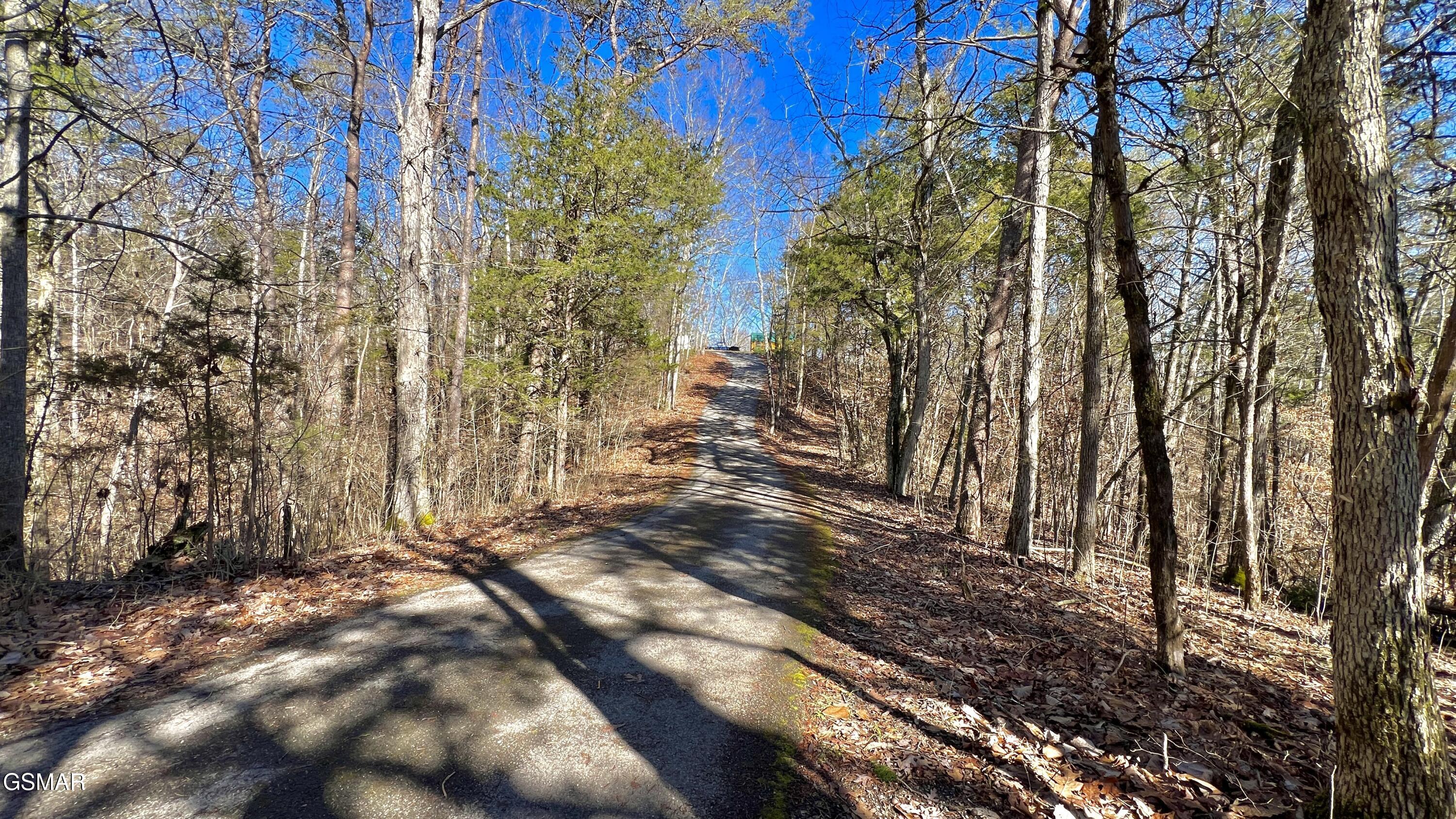 1803 Elkins Road Kodak TN 37764