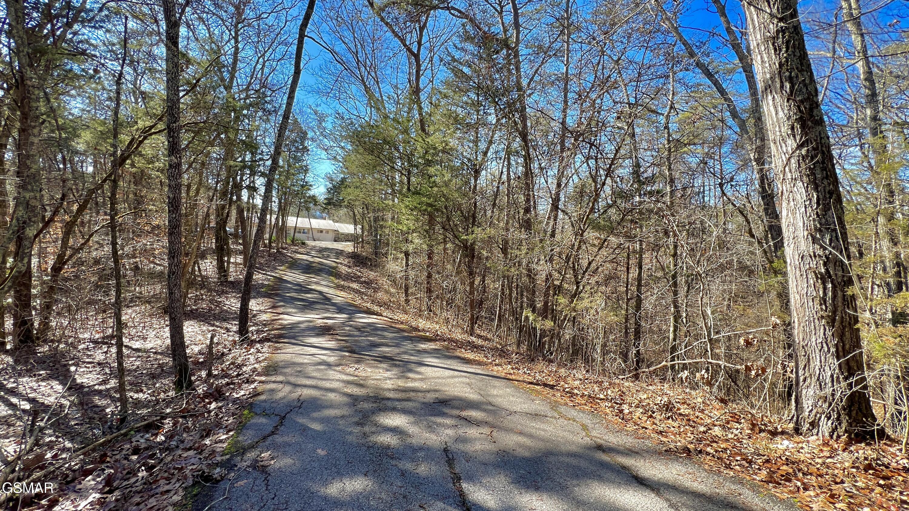 1803 Elkins Road Kodak TN 37764