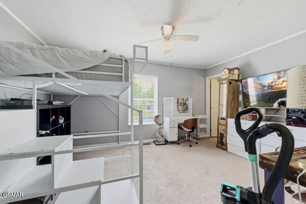 616 Hollow Drive Strawberry Plains TN 37871