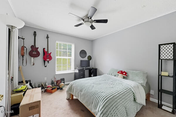 616 Hollow Drive Strawberry Plains TN 37871