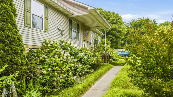 616 Hollow Drive Strawberry Plains TN 37871