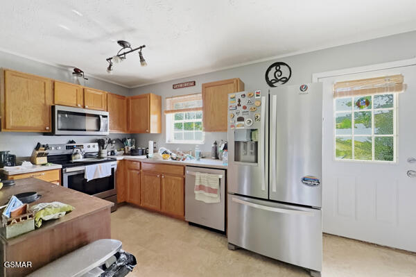 616 Hollow Drive Strawberry Plains TN 37871