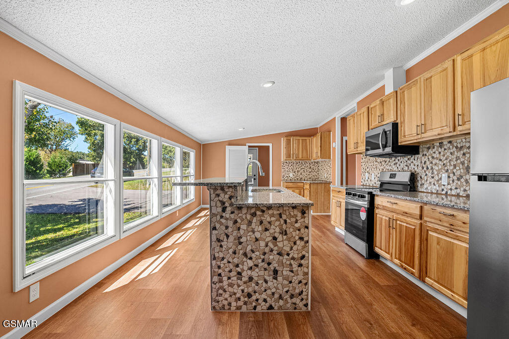 234 Red Bud Lane Sevierville TN 37876