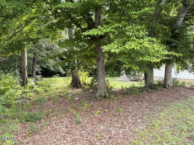 1322 Second Lane Sevierville TN 37876