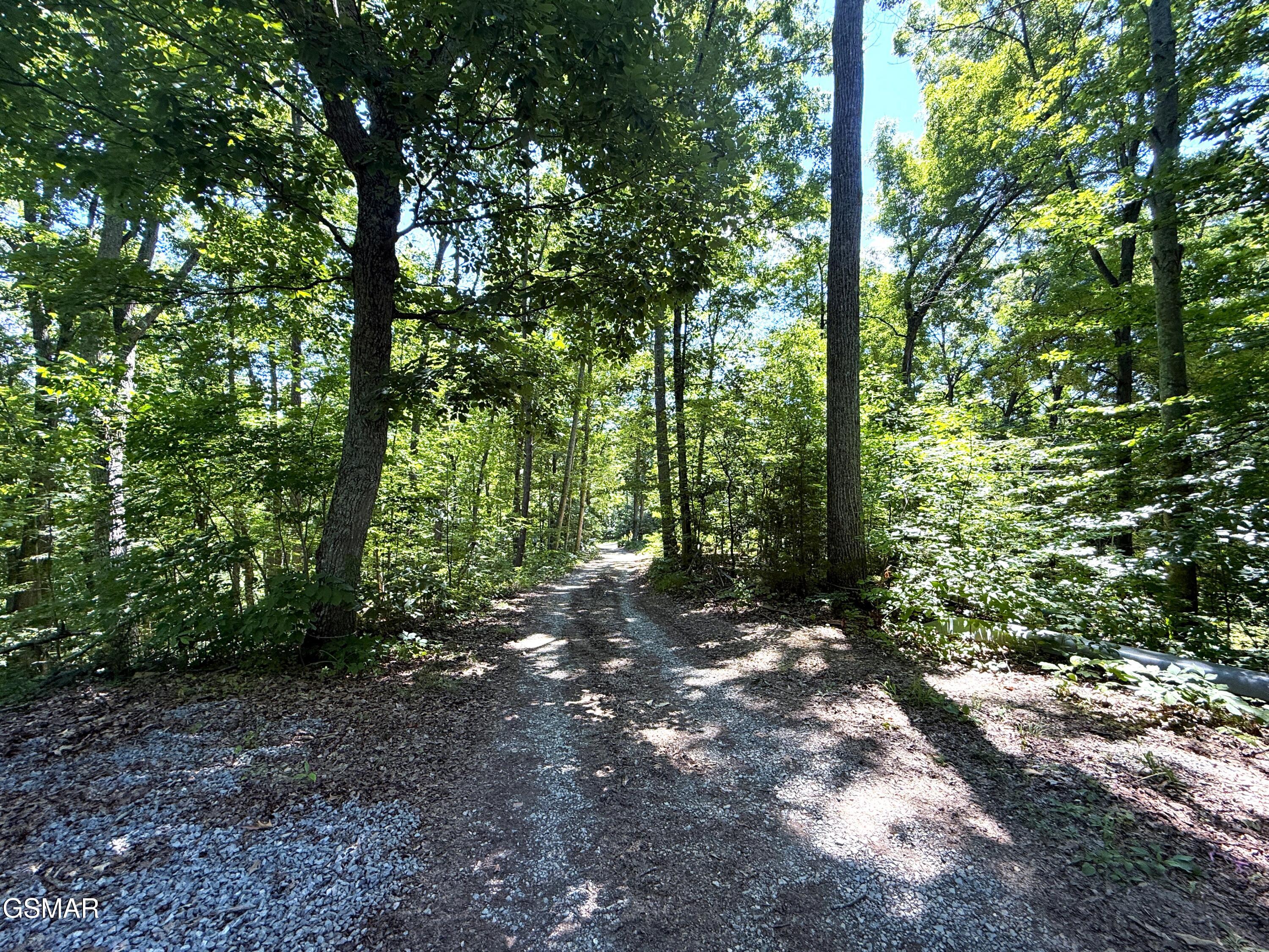1040 Sturmhaben Way Newport TN 37821