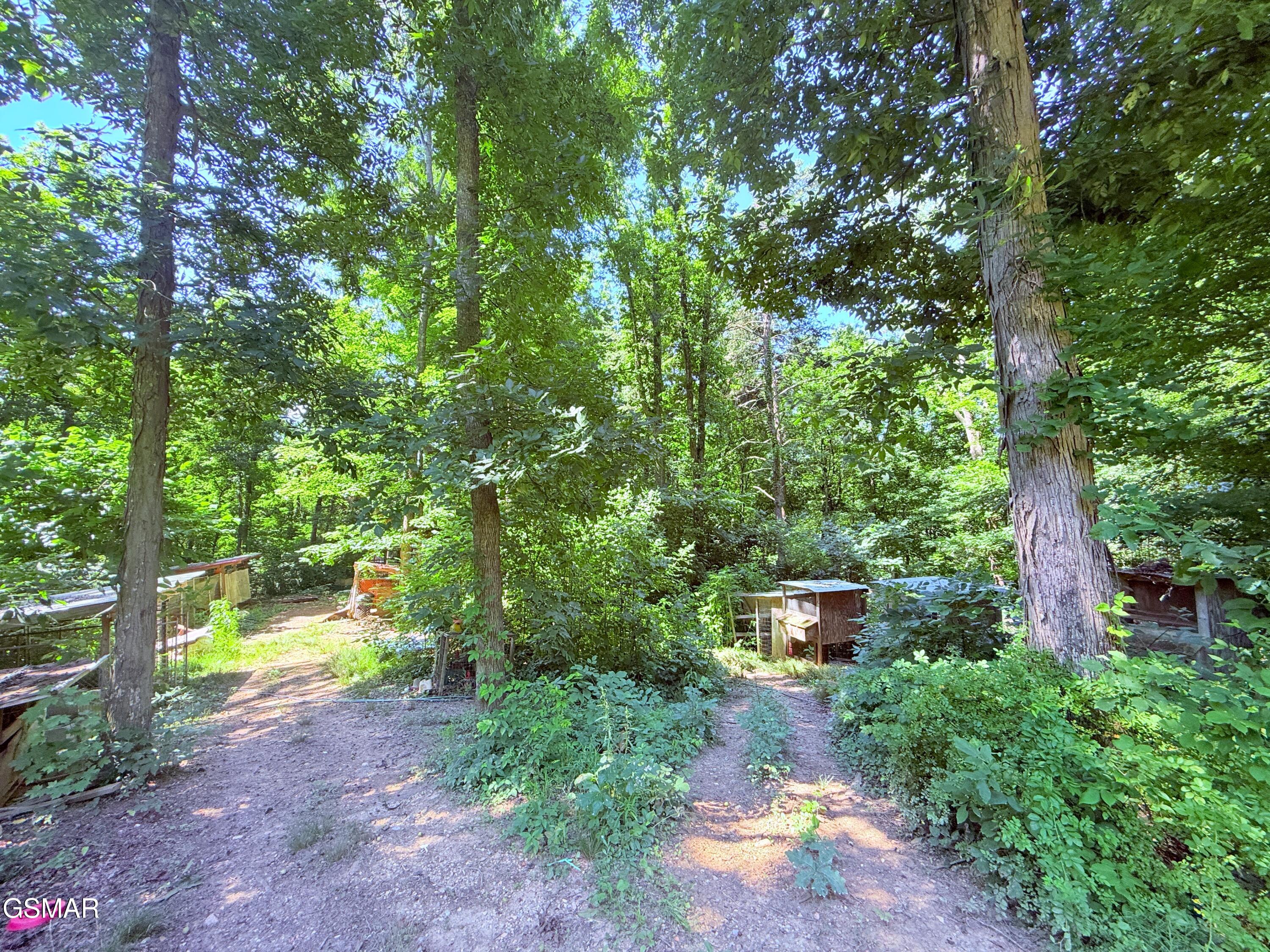 1040 Sturmhaben Way Newport TN 37821