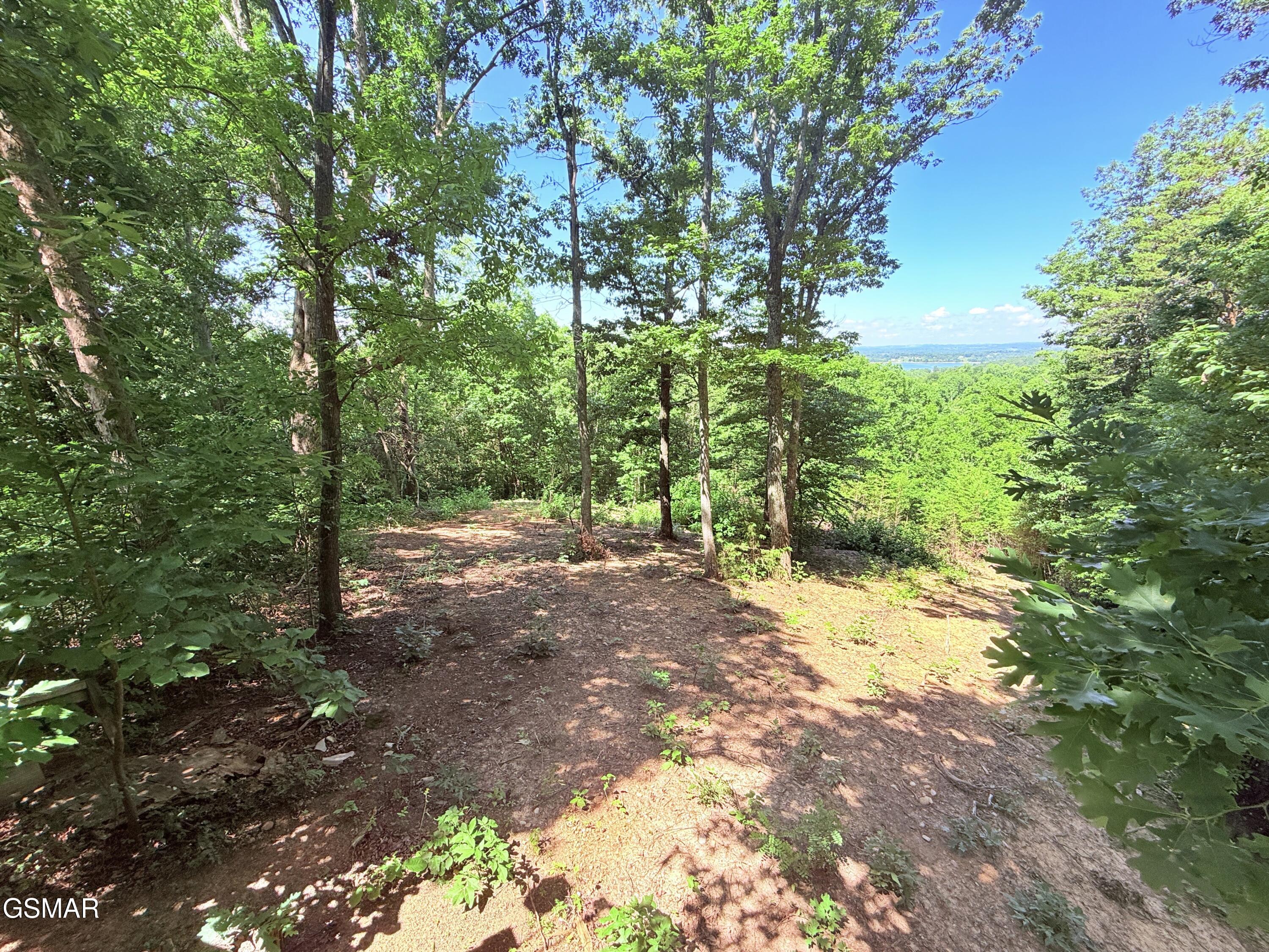 1040 Sturmhaben Way Newport TN 37821