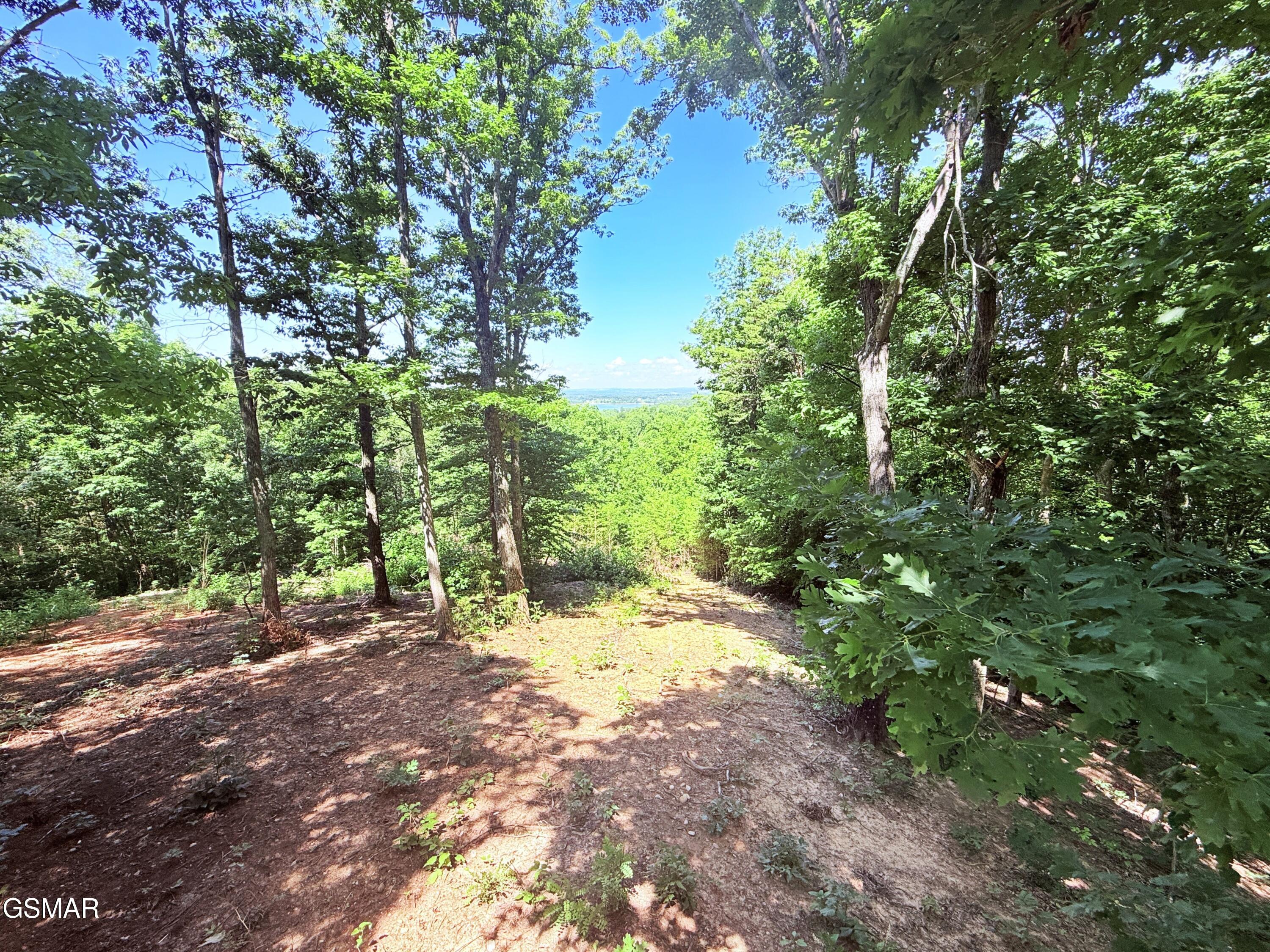 1040 Sturmhaben Way Newport TN 37821