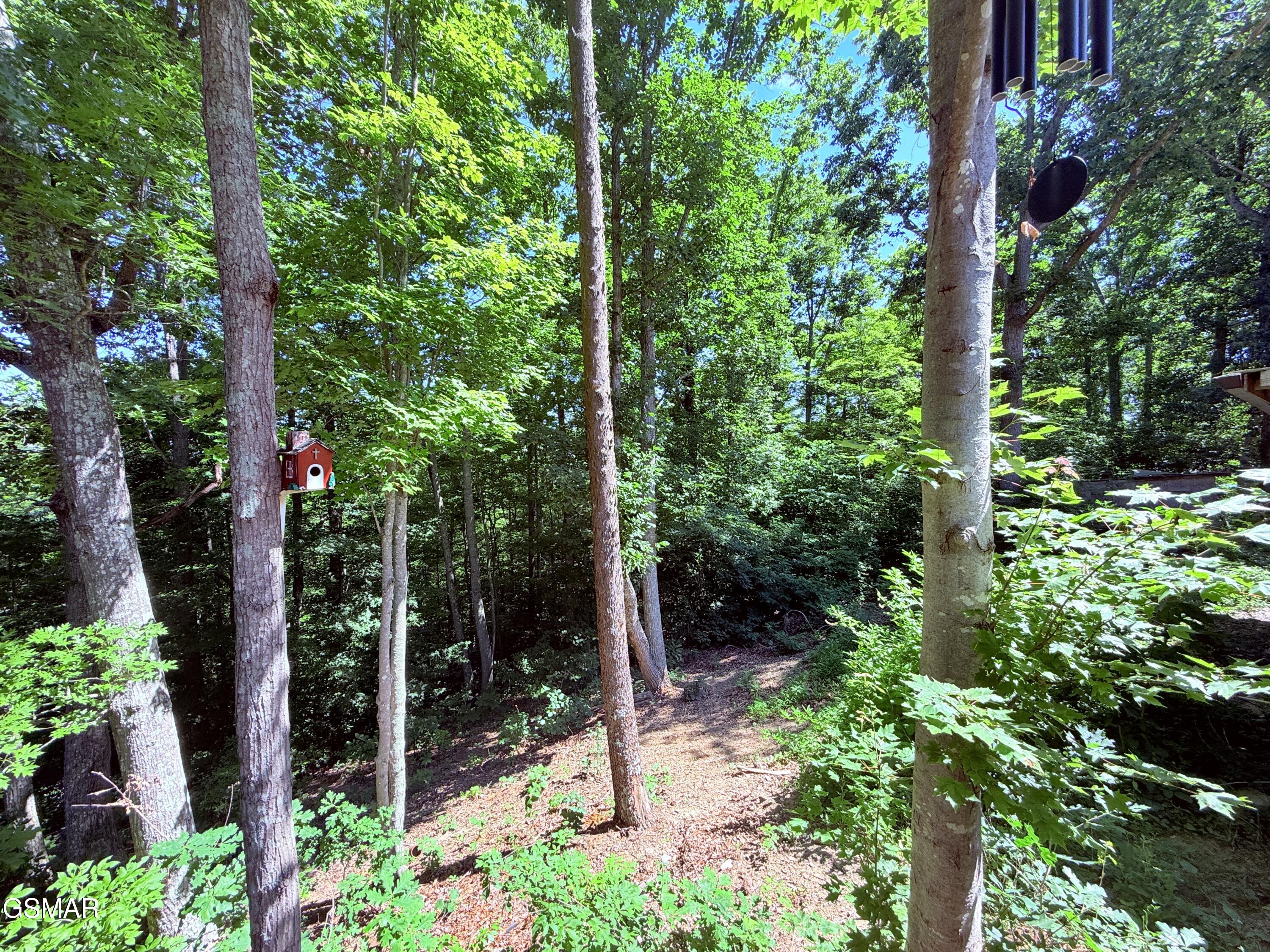 1040 Sturmhaben Way Newport TN 37821