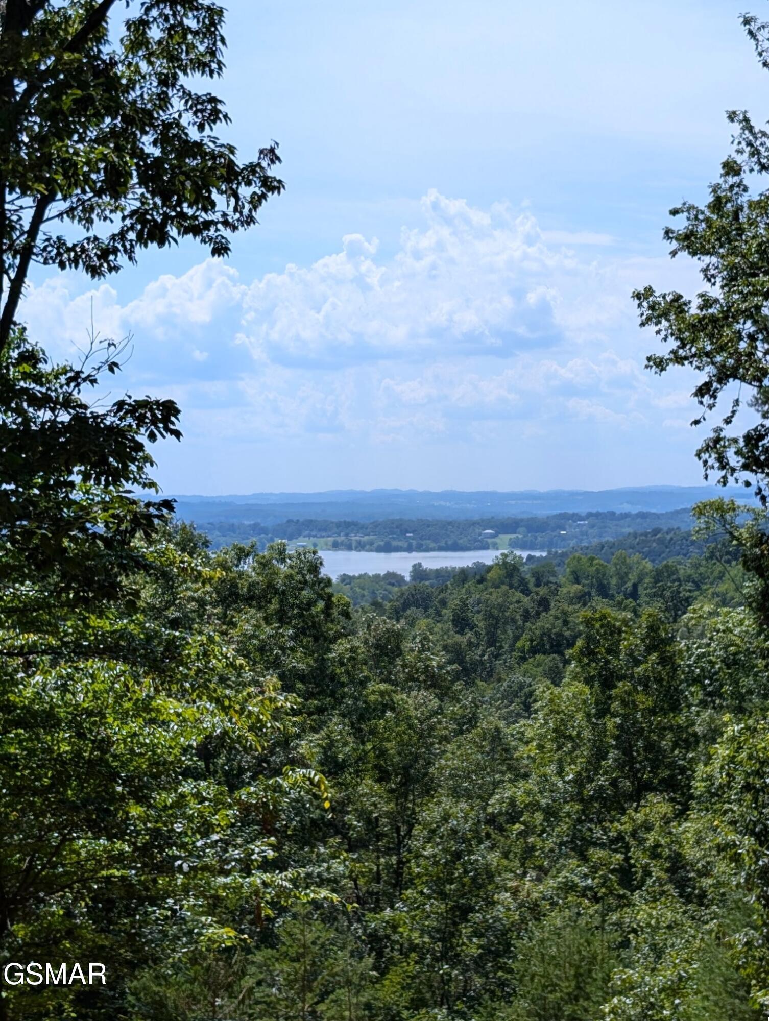 1040 Sturmhaben Way Newport TN 37821