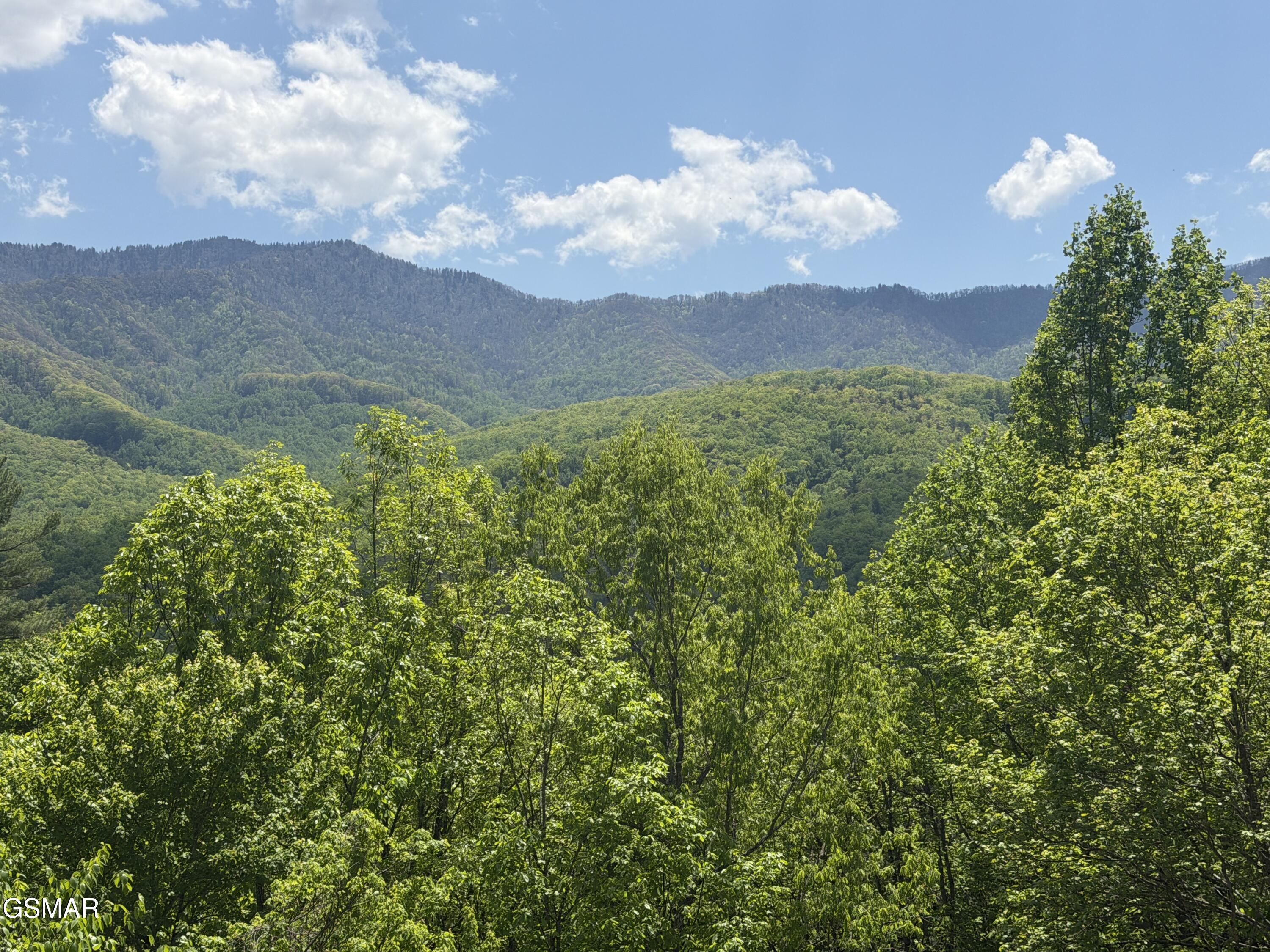 439 Ridgeline Way Gatlinburg TN 37738