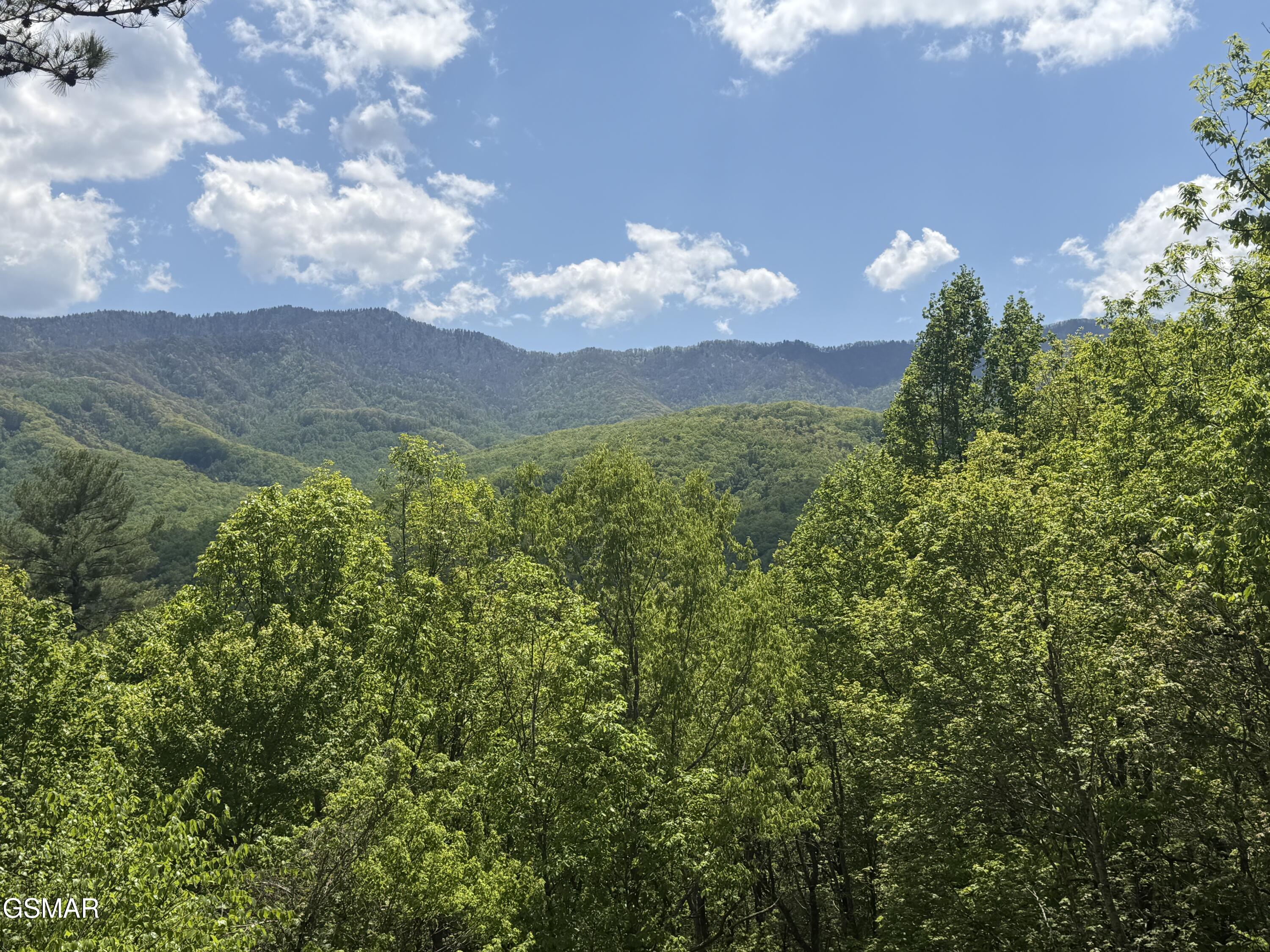439 Ridgeline Way Gatlinburg TN 37738