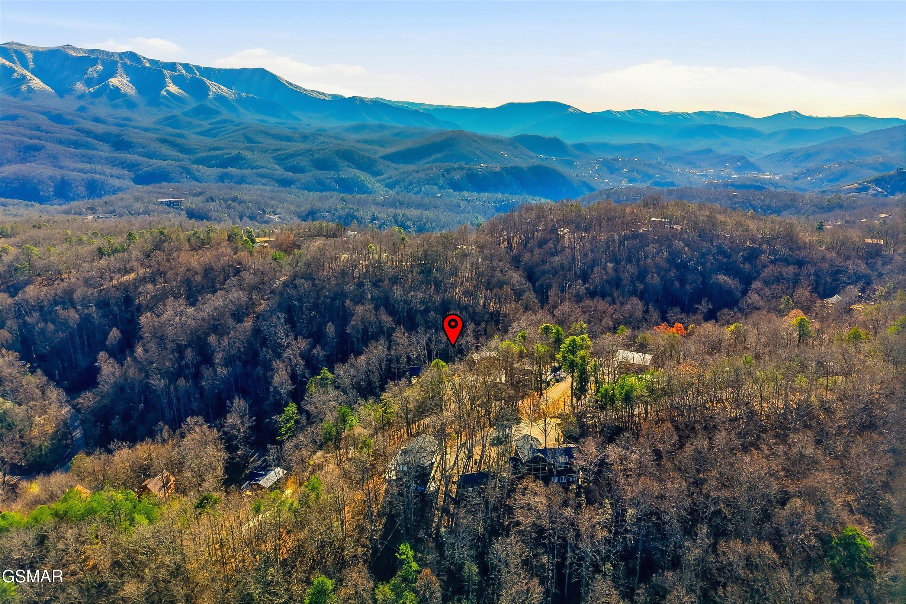 1104 Laddie Buck Lane Gatlinburg TN 37738