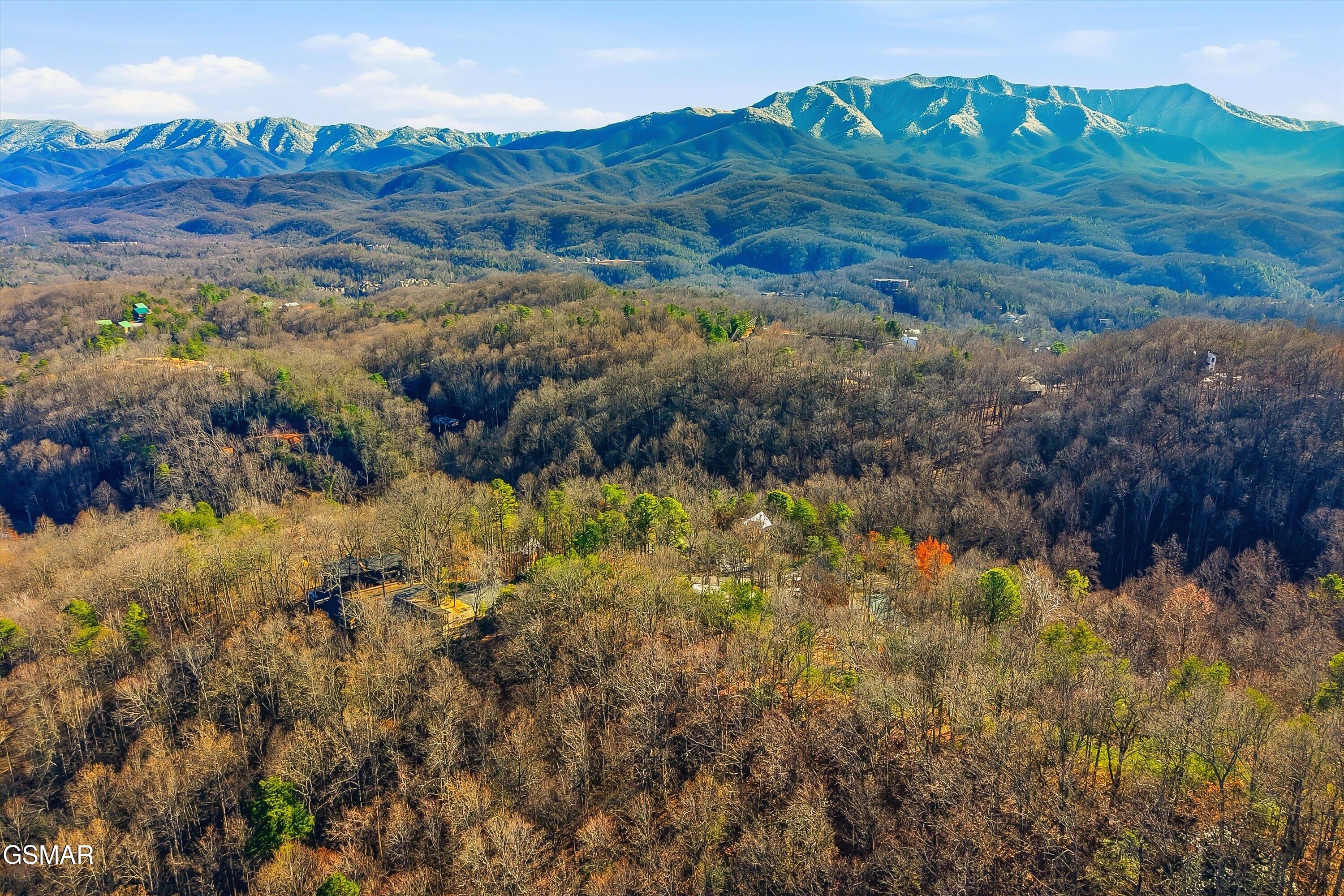 1104 Laddie Buck Lane Gatlinburg TN 37738