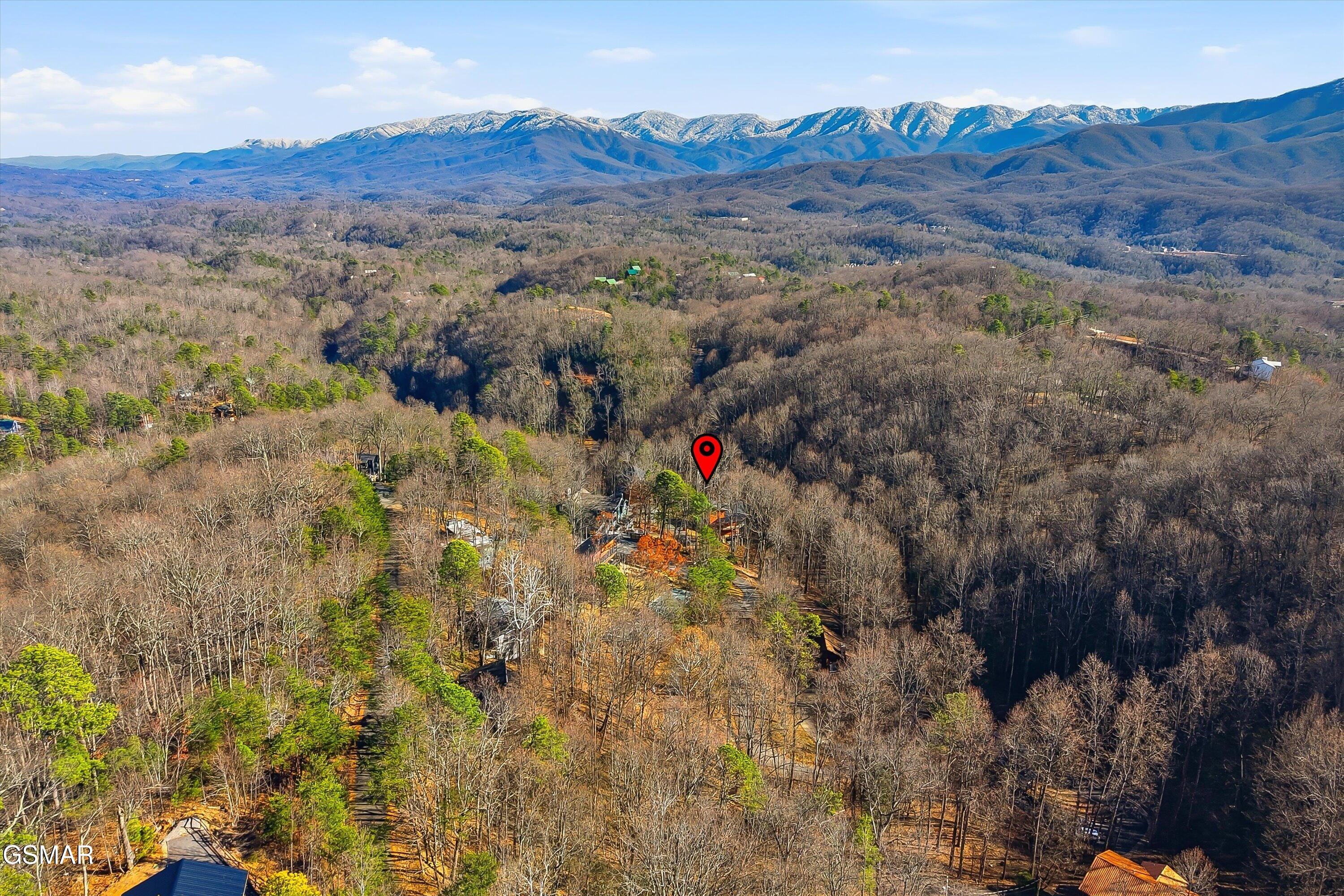 1104 Laddie Buck Lane Gatlinburg TN 37738