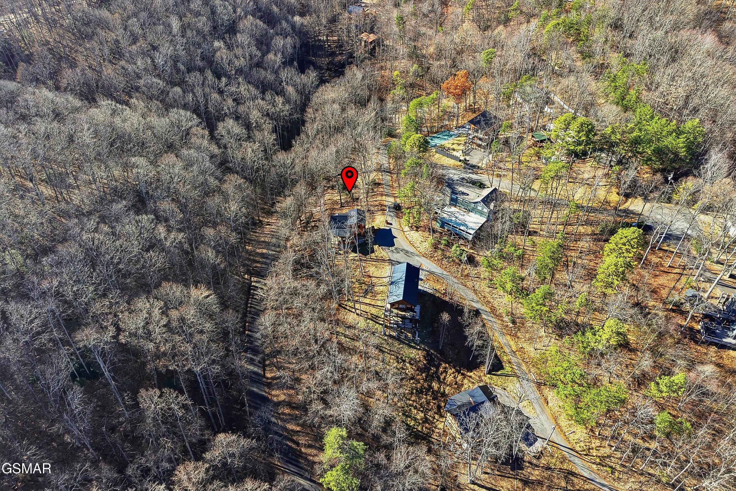 1104 Laddie Buck Lane Gatlinburg TN 37738
