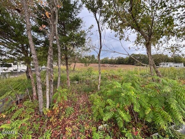 346 W Dumplin Valley Road Kodak TN 37764