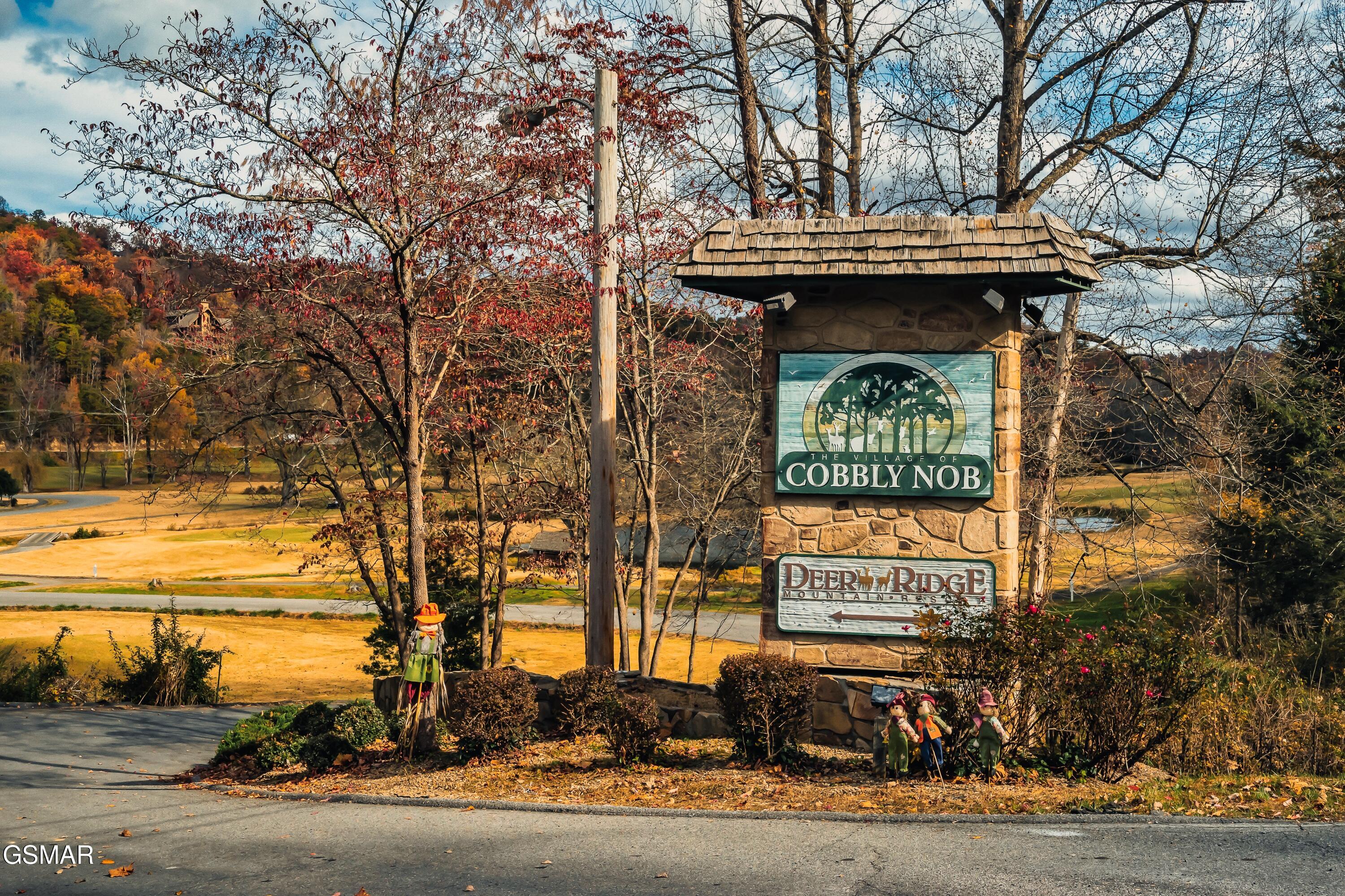 415 Matterhorn Drive Gatlinburg TN 37738