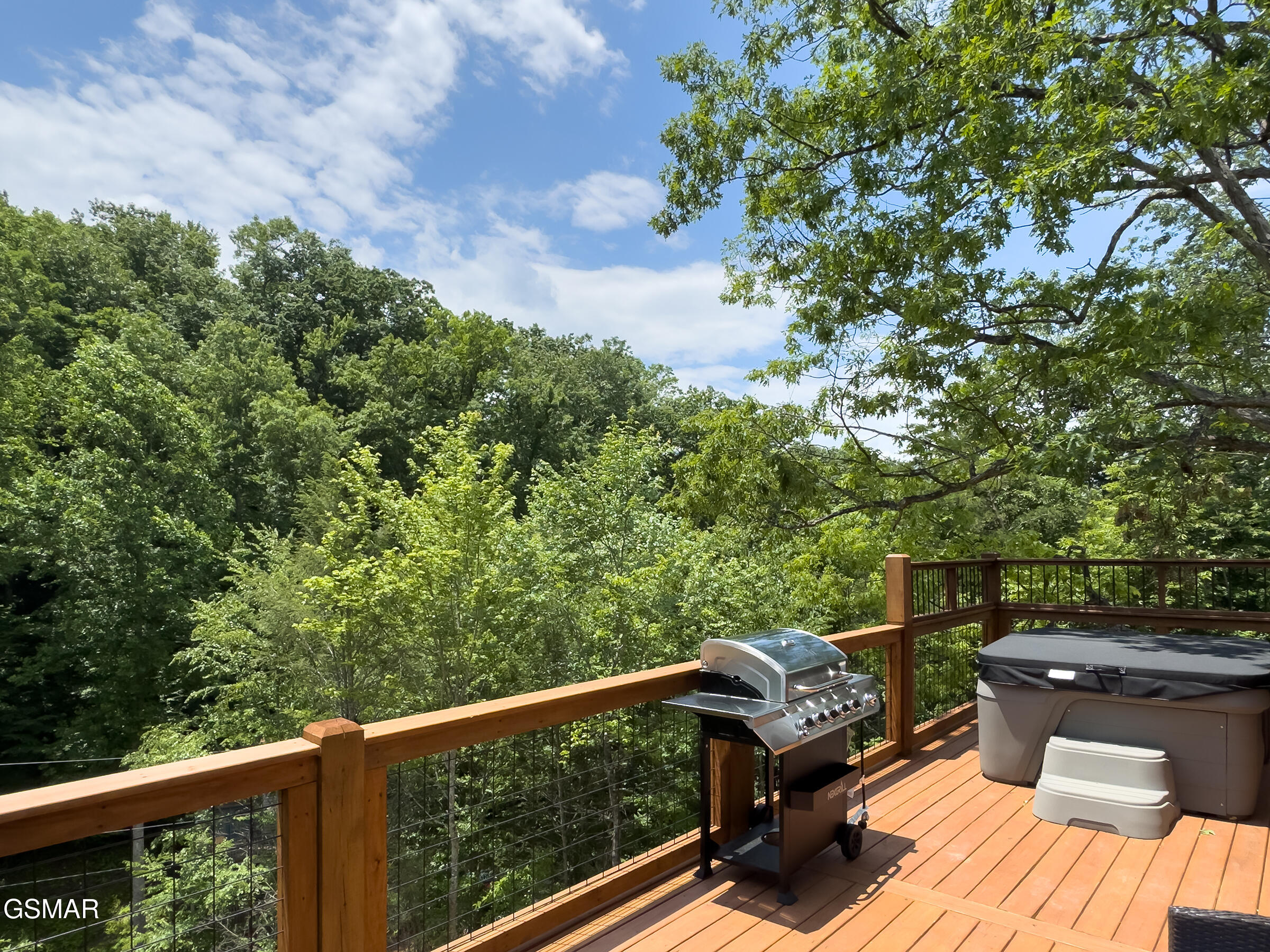 2119 Beach Front Drive Sevierville TN 37862