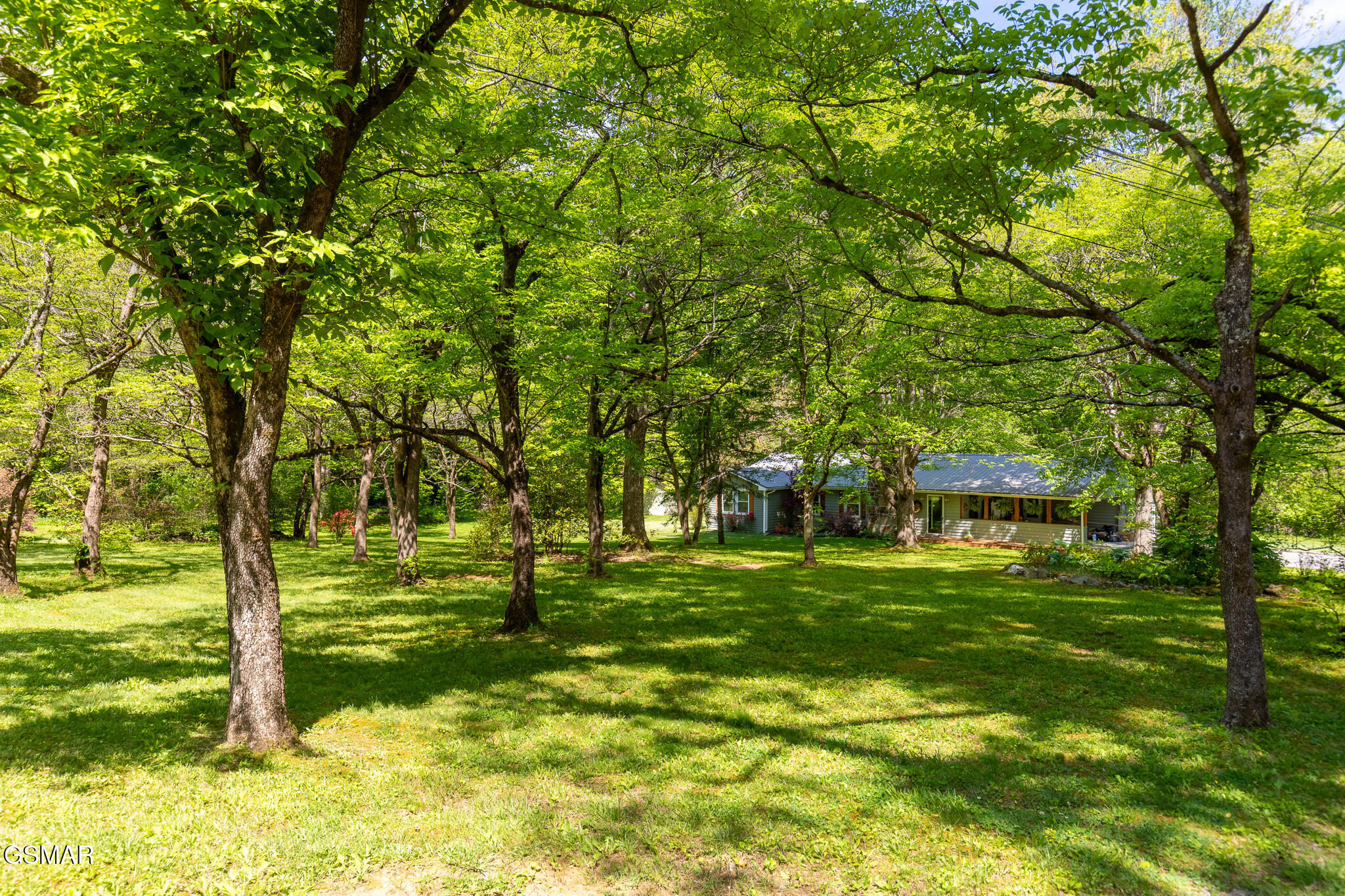 4527 E Scenic Drive Gatlinburg TN 37738