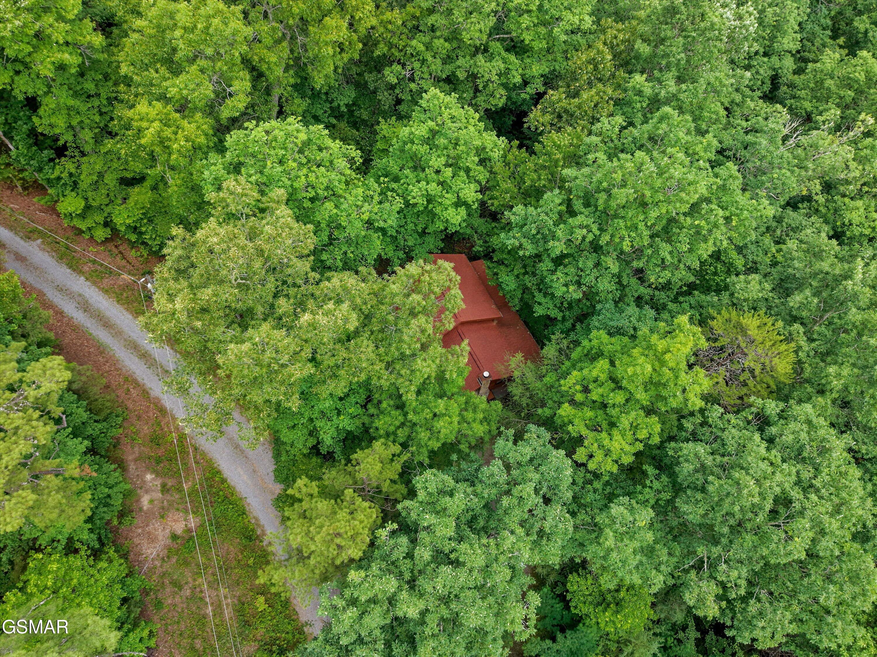 4164 Lumber Jack Way Sevierville TN 37876