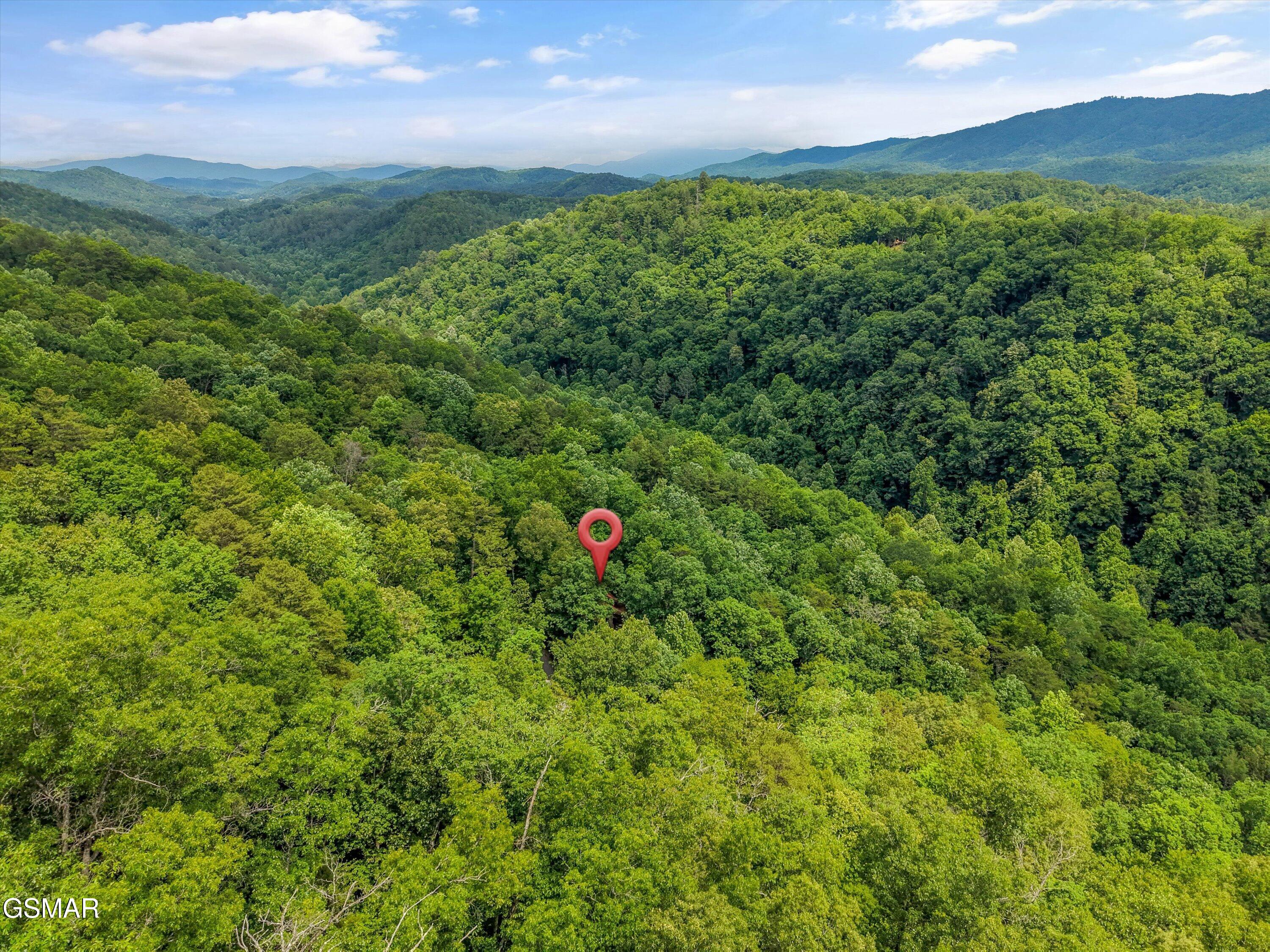 4164 Lumber Jack Way Sevierville TN 37876