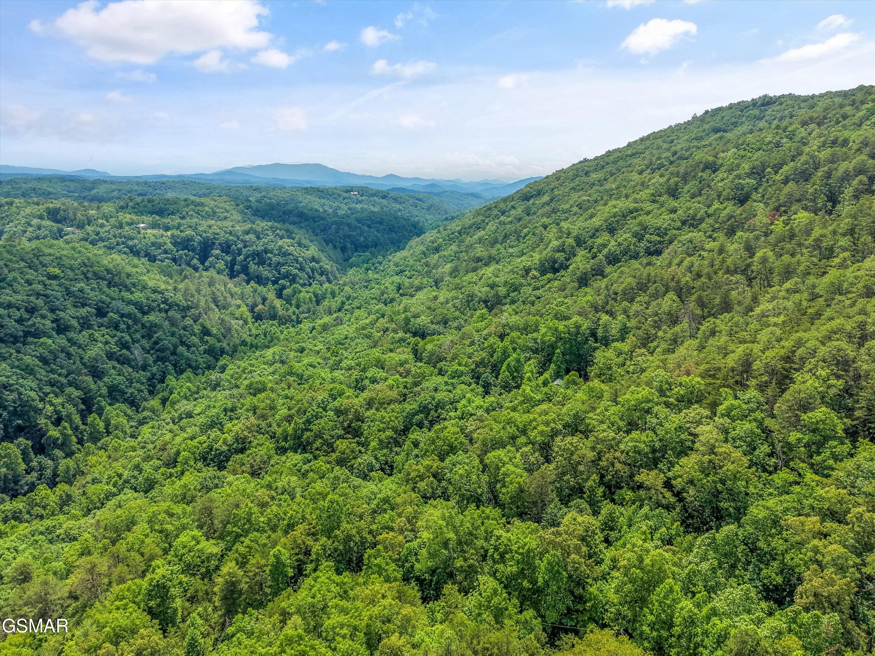 4164 Lumber Jack Way Sevierville TN 37876