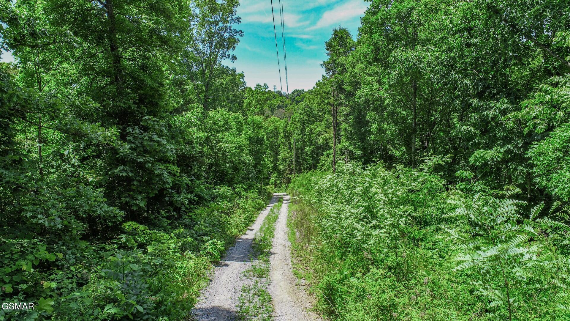 180 Shiloh Road Parrottsville TN 37843